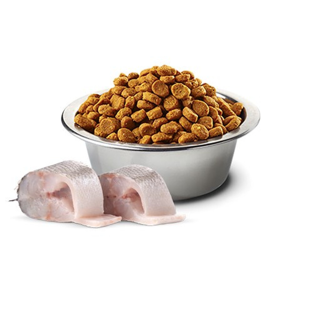 Metalowa miska wypełniona brązową karmą obok dwóch kawałków surowej ryby, wszystko na białym tle.