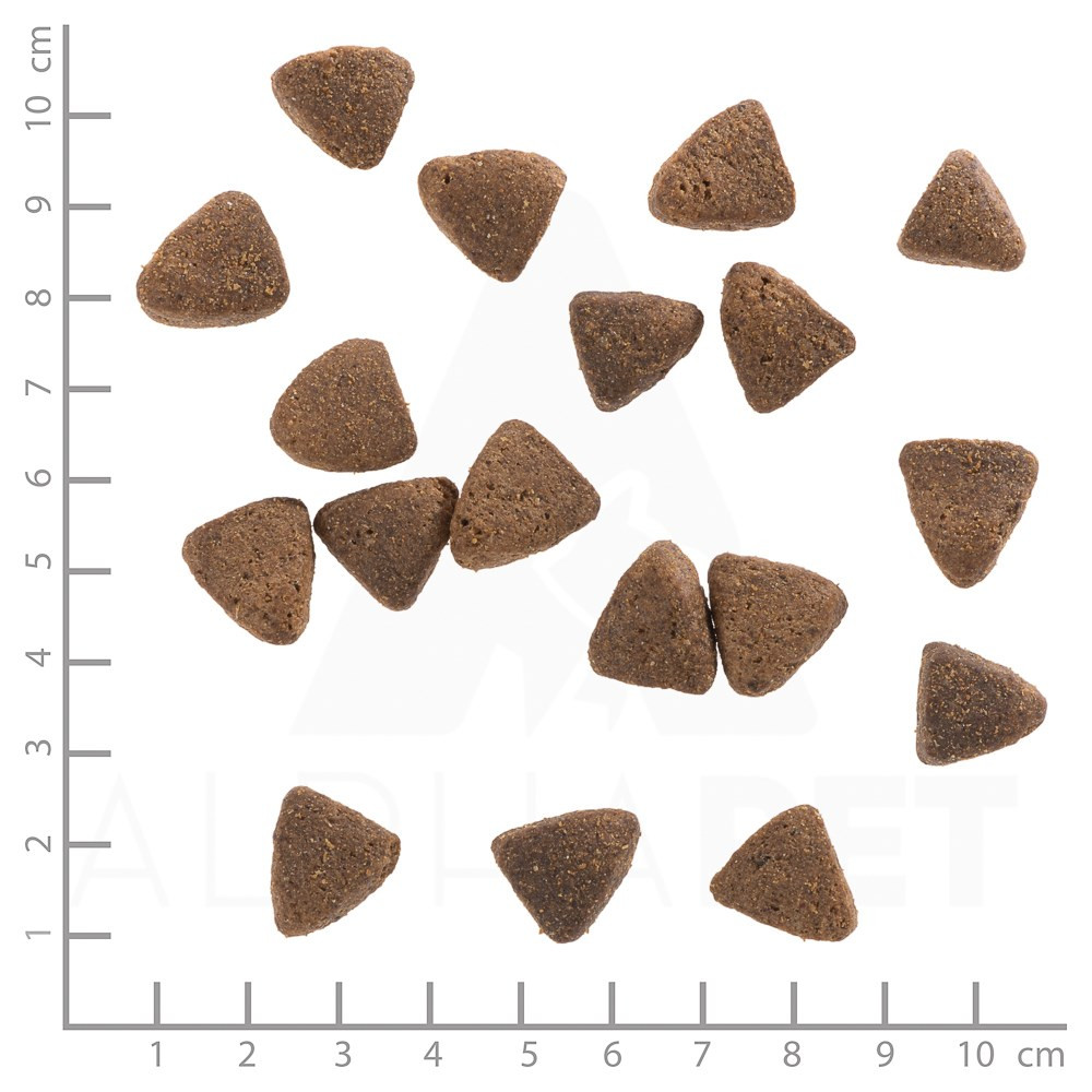 Rozrzucone, brązowe, trójkątne krokiety karmy dla zwierząt na białym tle z centymetrową linijką po bokach.