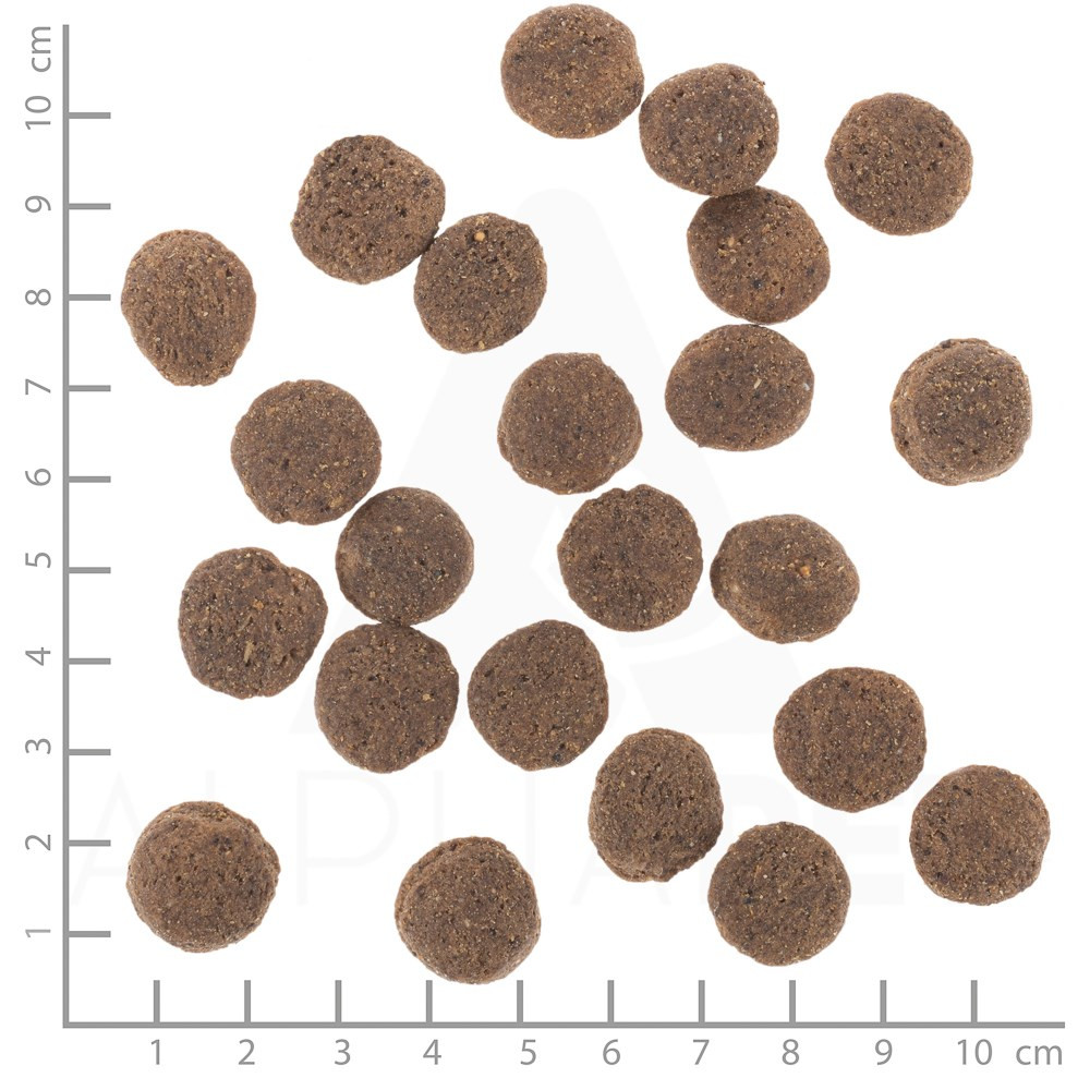 Widok z góry pokazuje wiele brązowych, okrągłych krokietów karmy dla zwierząt rozrzuconych na białym tle ze skalą cm.