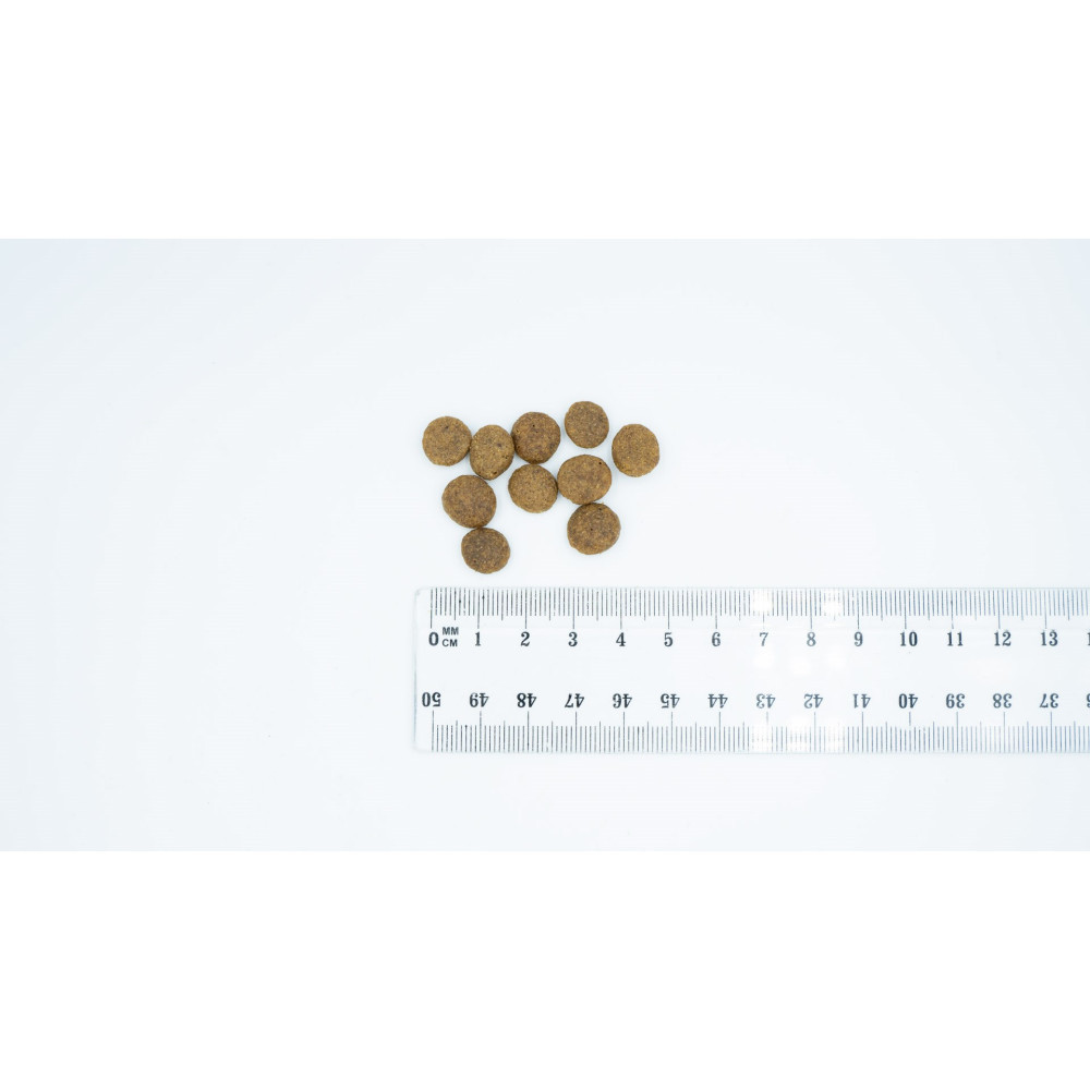 Biała powierzchnia z brązowymi, okrągłymi kawałkami karmy dla zwierząt i linijką z oznaczeniami milimetrowymi.