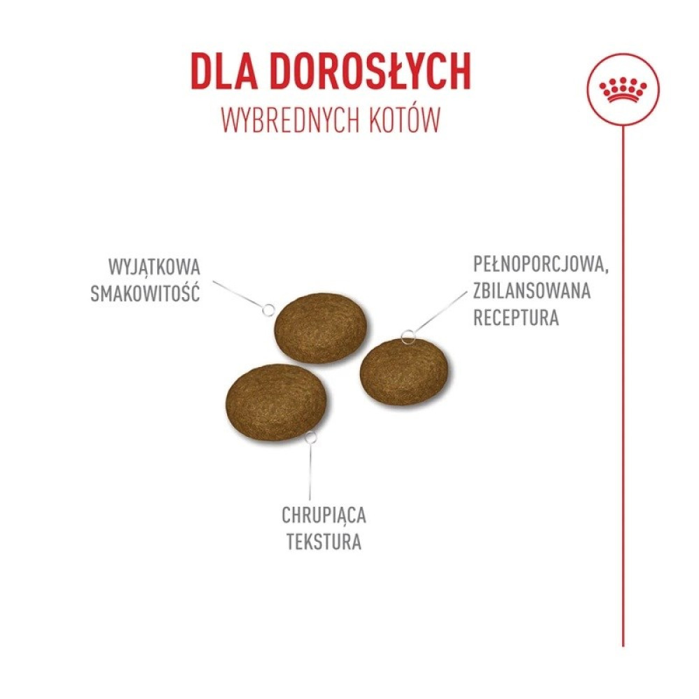 Obraz przedstawia trzy brązowe krokiety dla kotów z polskim tekstem opisującym smak, teksturę i zrównoważoną recepturę.