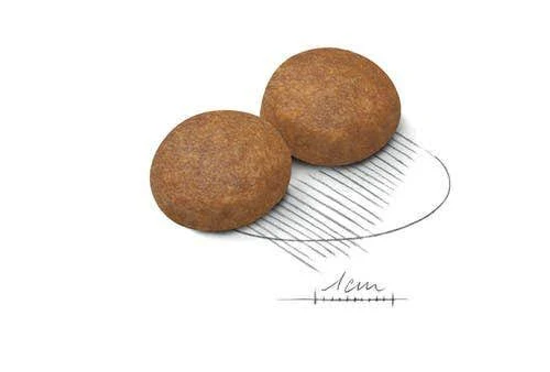 Dwa brązowe, okrągłe kawałki karmy dla zwierząt na białym tle. Leżą na naszkicowanym owalu z etykietą pomiaru '1cm'.