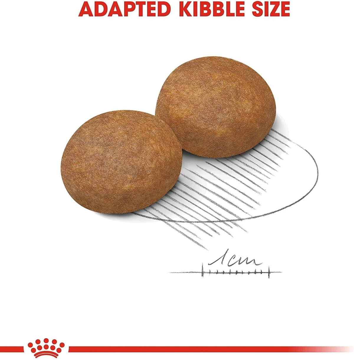 Dwie brązowe krokiety na białym tle, ze szkicem koła i linią. U góry: 'ADAPTED KIBBLE SIZE'.