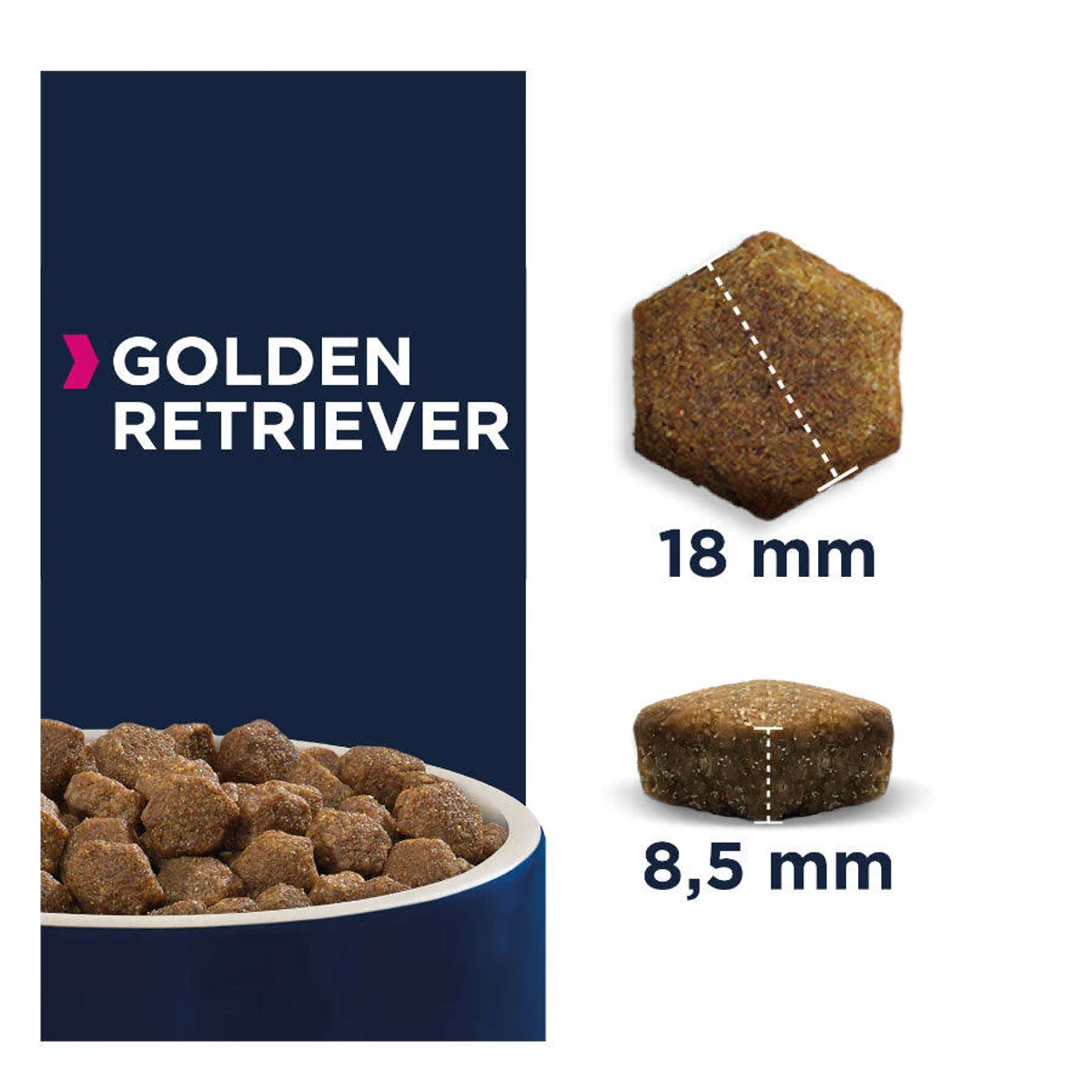 Obraz przedstawia karmę dla psów Golden Retriever. Zawiera kawałki karmy, pomiary rozmiarów i tekst 'GOLDEN RETRIEVER'.