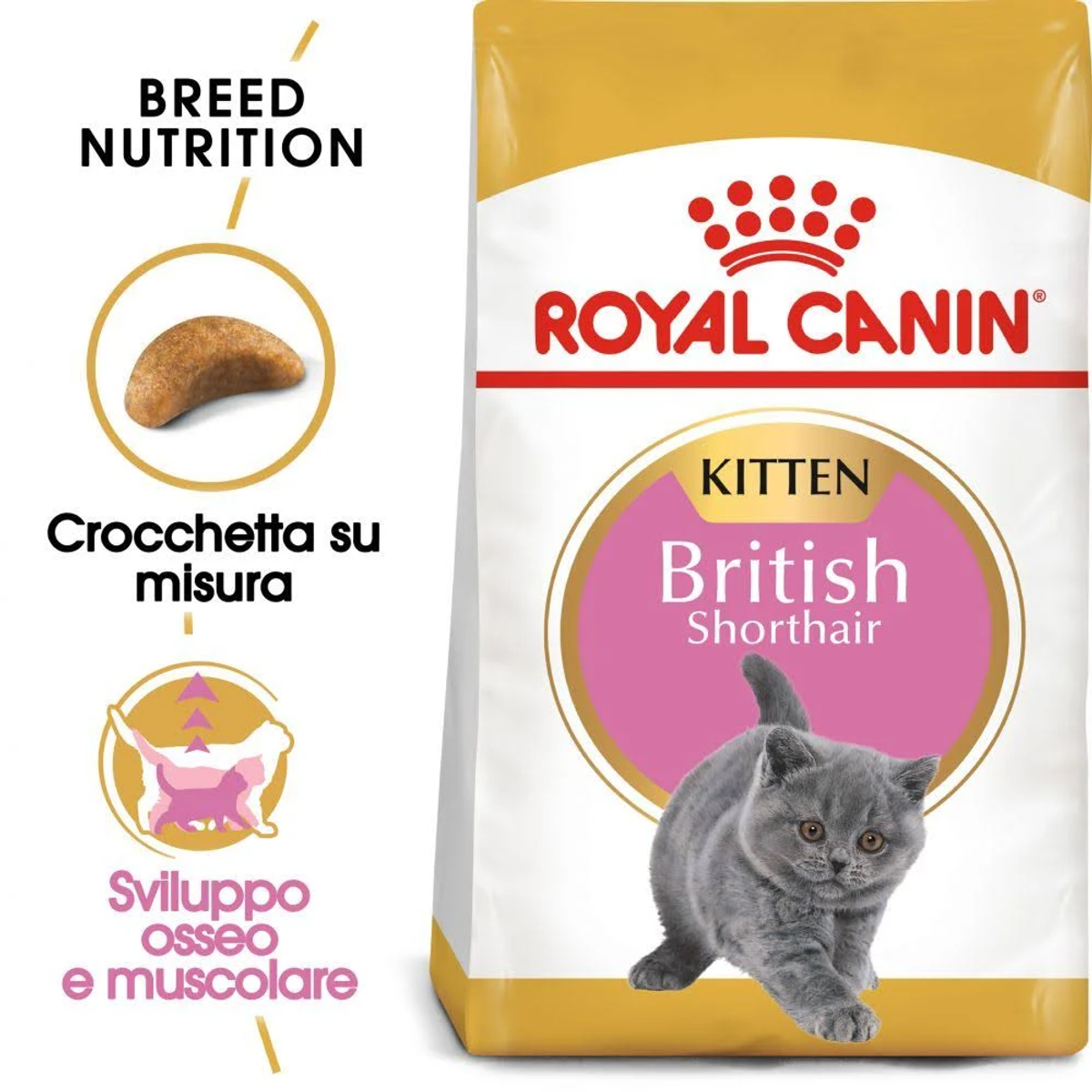 Torba z karmą dla kotów. Ma markę Royal Canin i zdjęcie szarego kociaka. Tekst zawiera 'British Shorthair'.