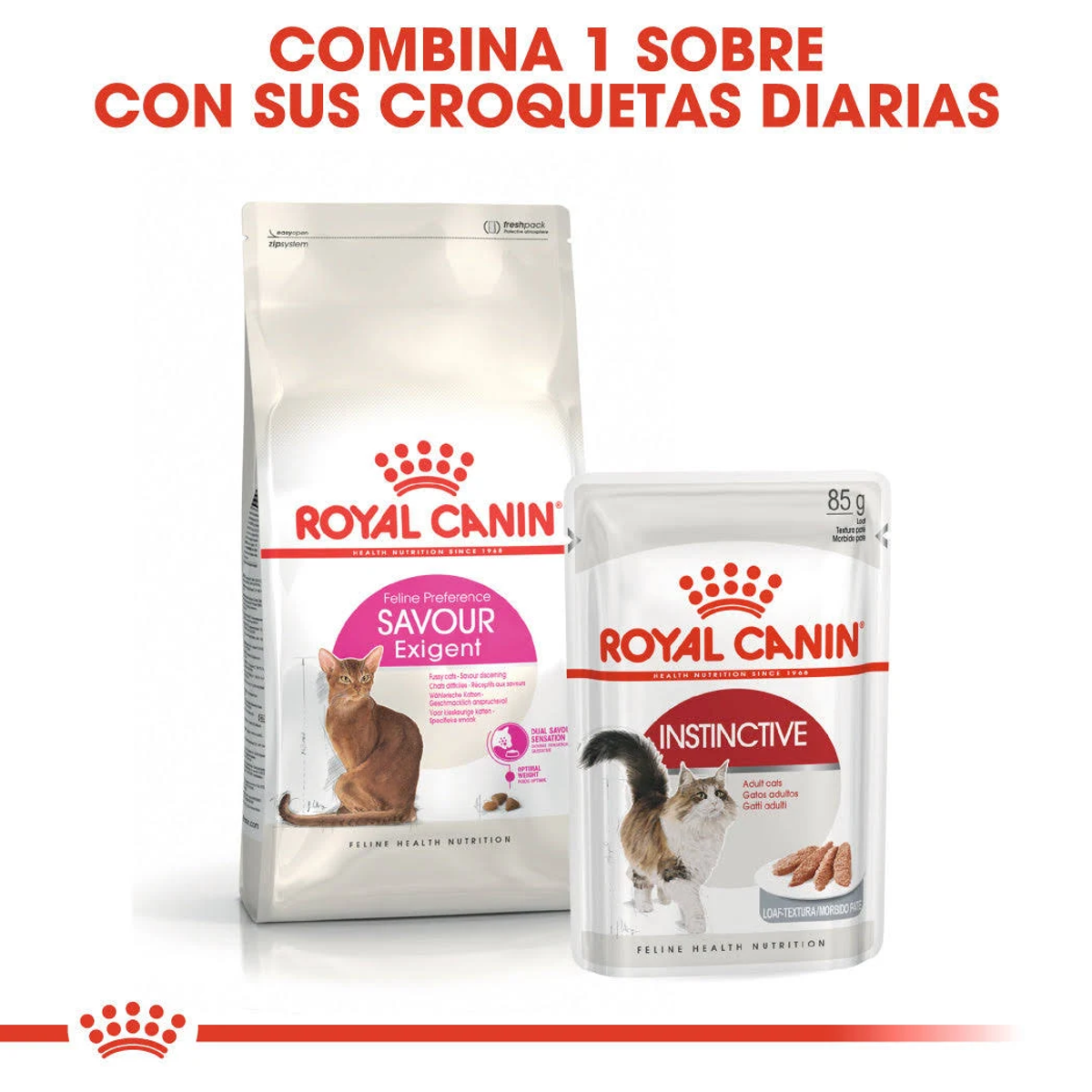 Dwa produkty Royal Canin dla kotów. Torba suchej karmy i saszetka mokrej karmy, obie markowe i ze zdjęciami kotów.