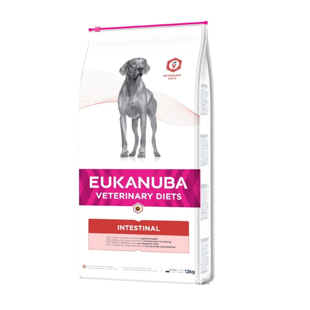 Pies stoi na białej torbie Eukanuba Veterinary Diets. Torba ma tekst i grafikę. Widnieje na niej napis 'Intestinal'.