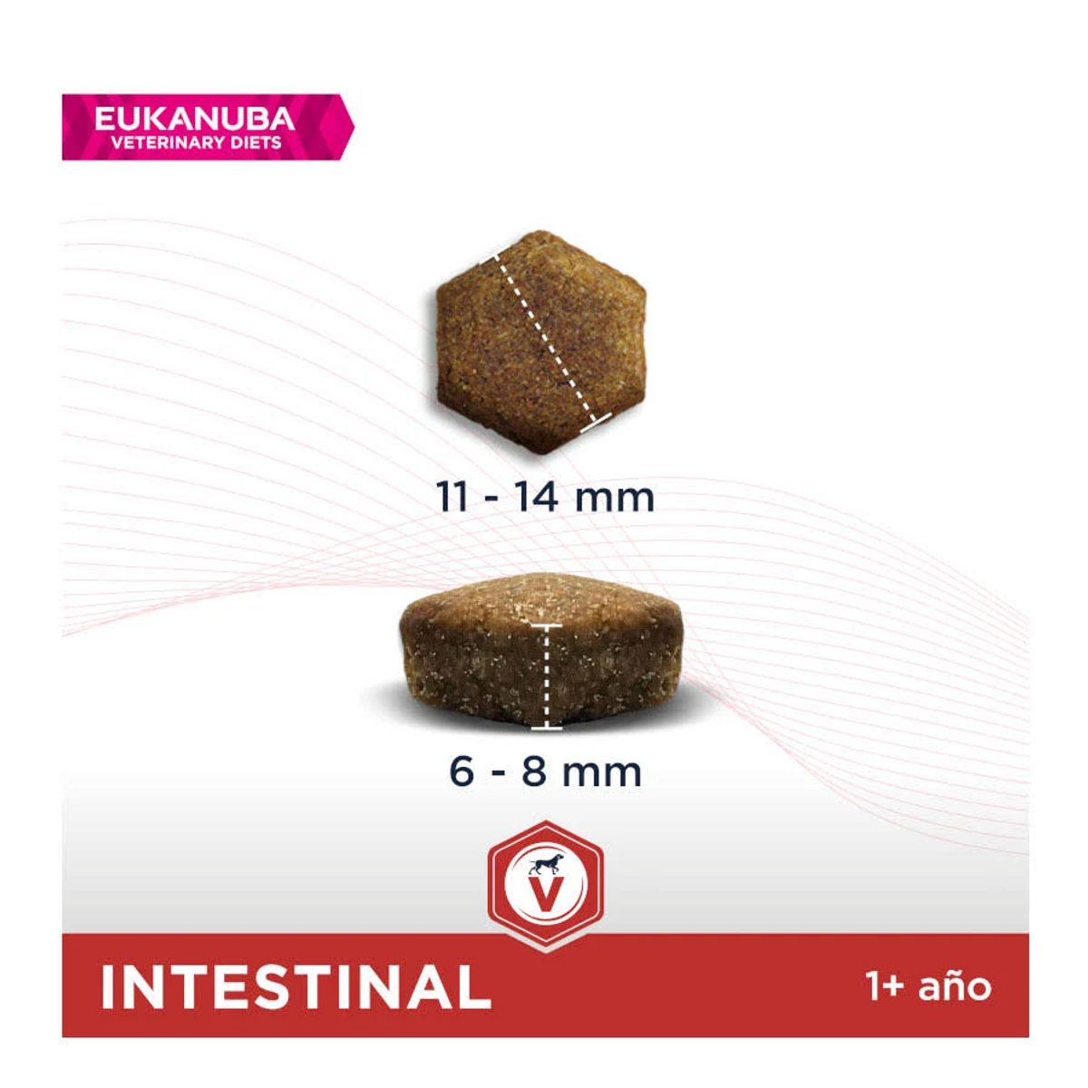 Dwie krokiety dla psów, jedna nad drugą. Górna ma 11-14mm, dolna 6-8mm. Czerwony pasek z 'INTESINAL' i '1+ año'.
