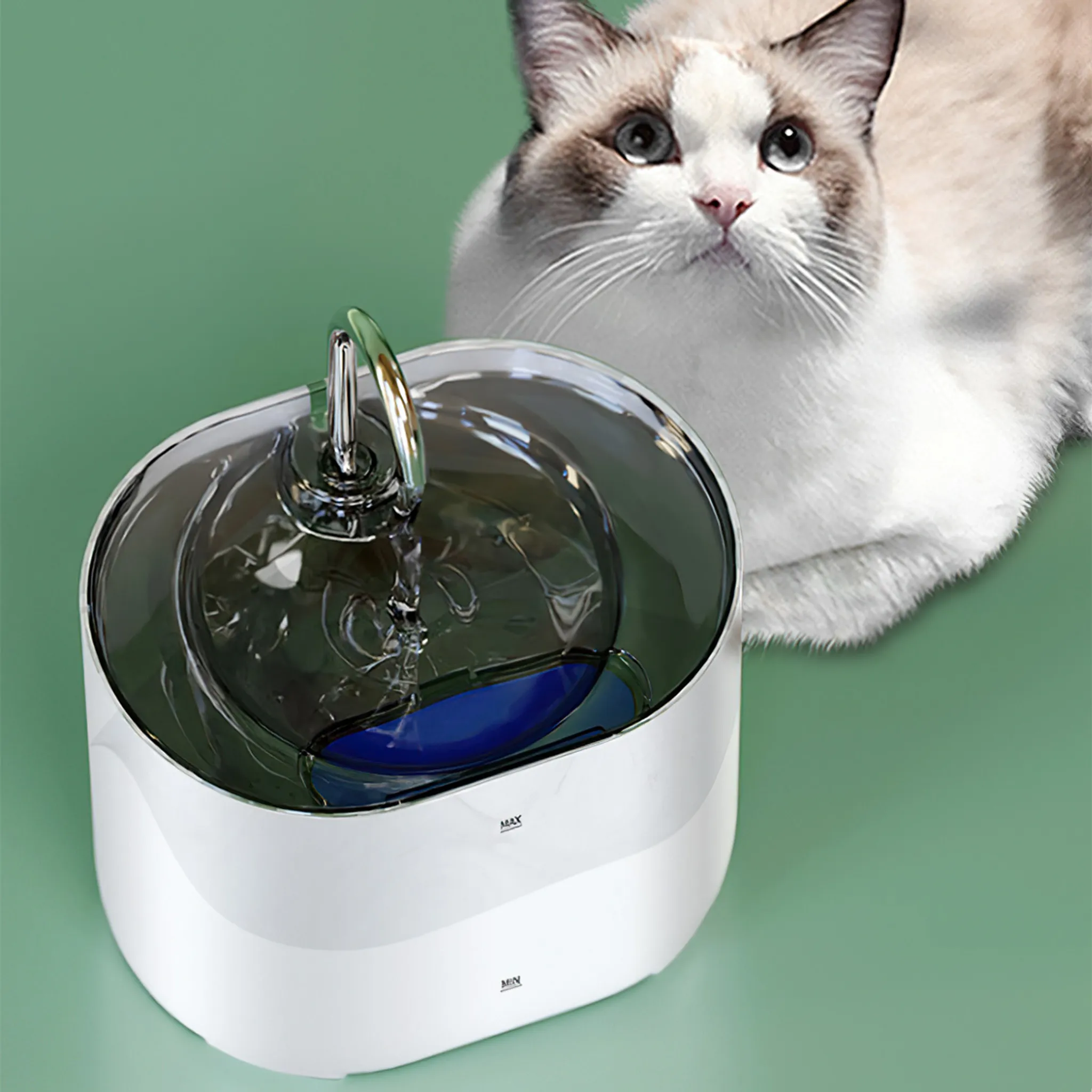 Eine weiße Katze neben einem weißen und transparenten Haustier-Wasserbrunnen. Grüner Hintergrund.