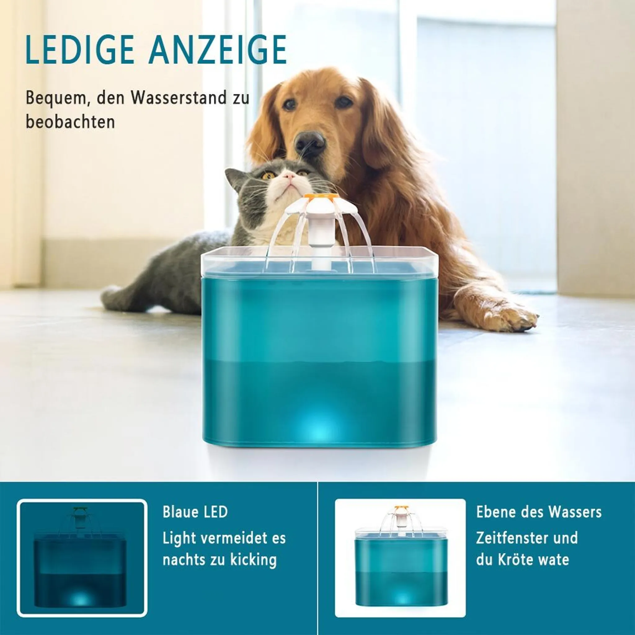 Ein Hund und eine Katze betrachten einen blauen Wasserbrunnen. Text oben lautet 'LEDIGE ANZEIGE'.
