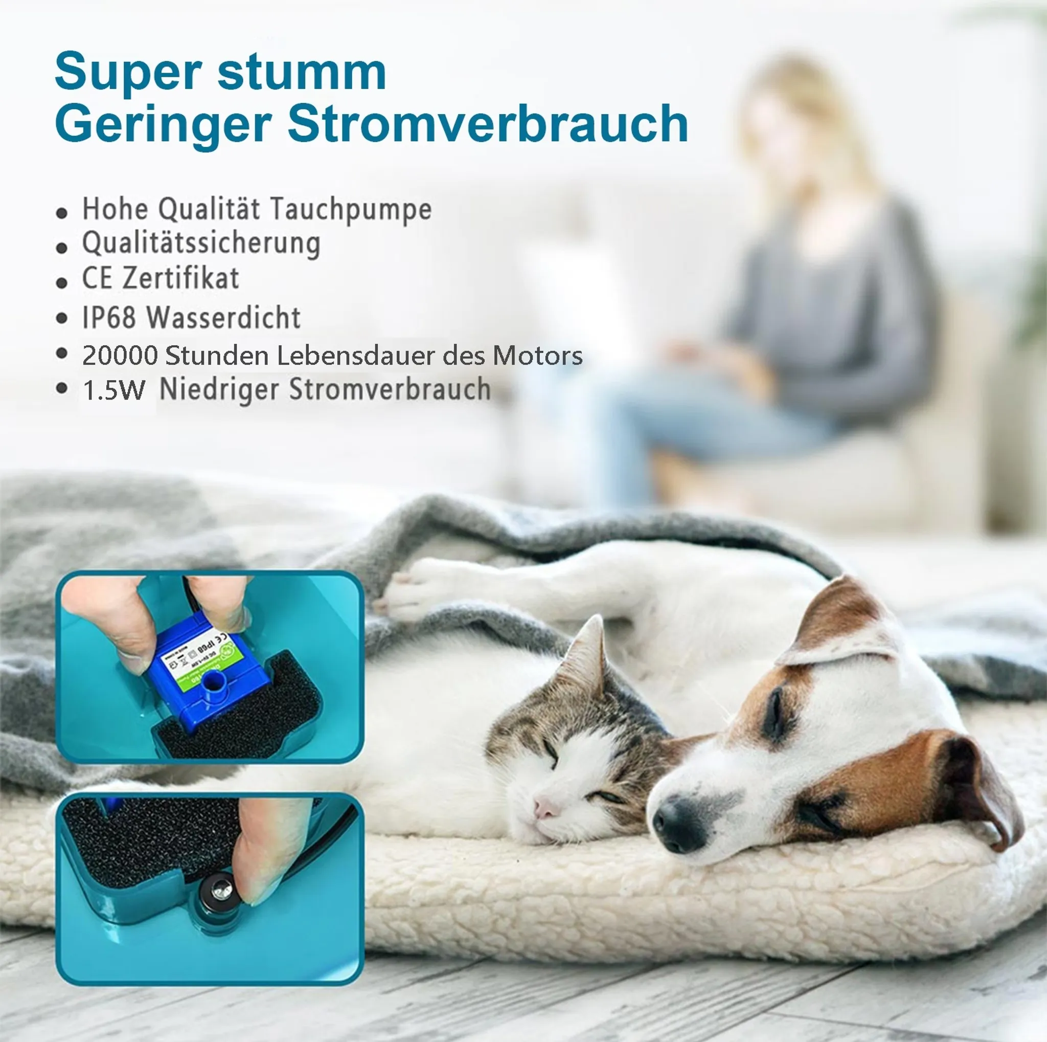 Eine Katze und ein Hund schlafen auf einem Kissen. Insets zeigen eine blaue Pumpe und eine Hand.