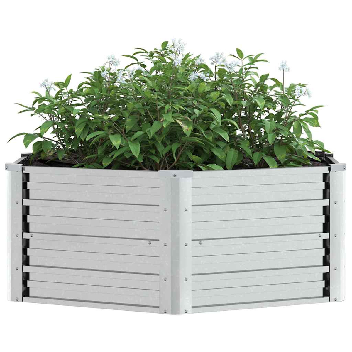 Ein quadratischer, silberner Pflanzkasten gefüllt mit grünen Blättern und kleinen weißen Blüten. Die Box hat horizontale Linien.