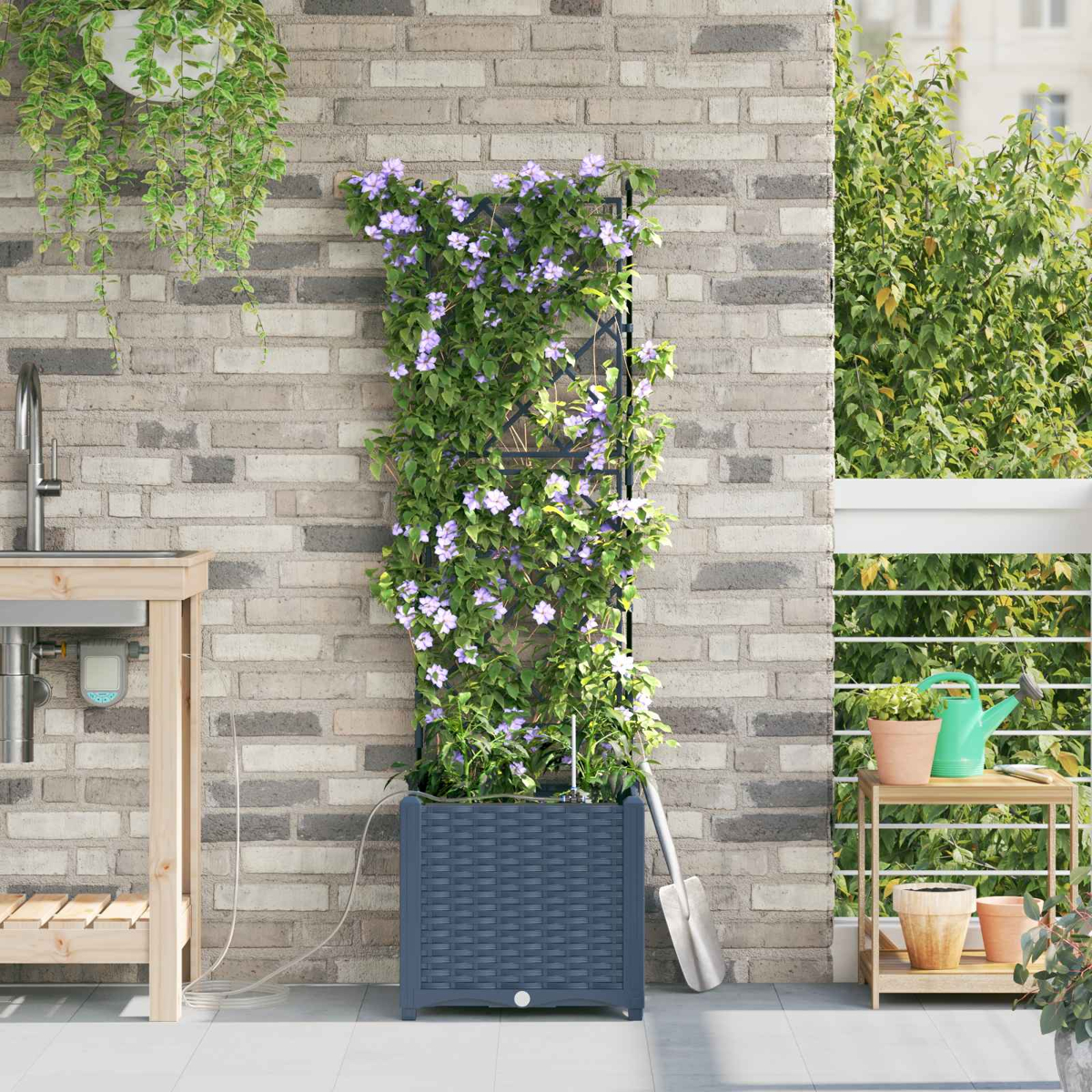 Una pianta rampicante con fiori viola su un traliccio. Un muro di mattoni grigi fa da sfondo. Un lavandino in legno e altre piante sono visibili.