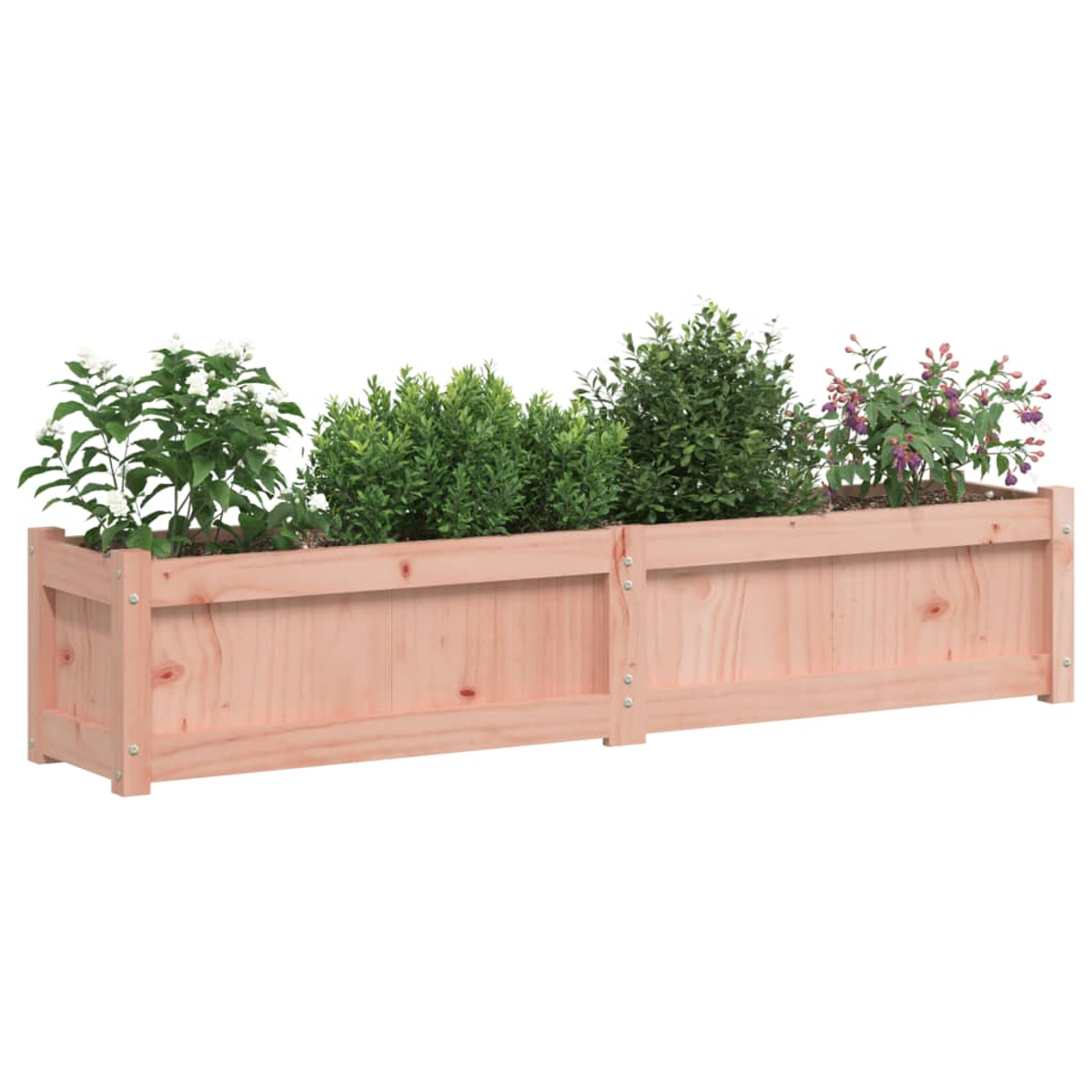 Holzpflanzkasten mit verschiedenen Pflanzen. Enthält grünes Laub und blühende Pflanzen. Die Box besteht aus hellem Holz.