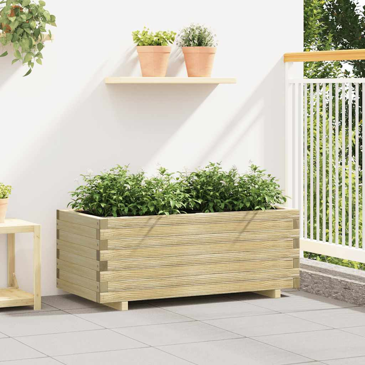 Holzpflanzkasten mit grünen Pflanzen auf einem Balkon. Zwei Topfpflanzen auf einem Regal an einer weißen Wand. Balkongeländer rechts.