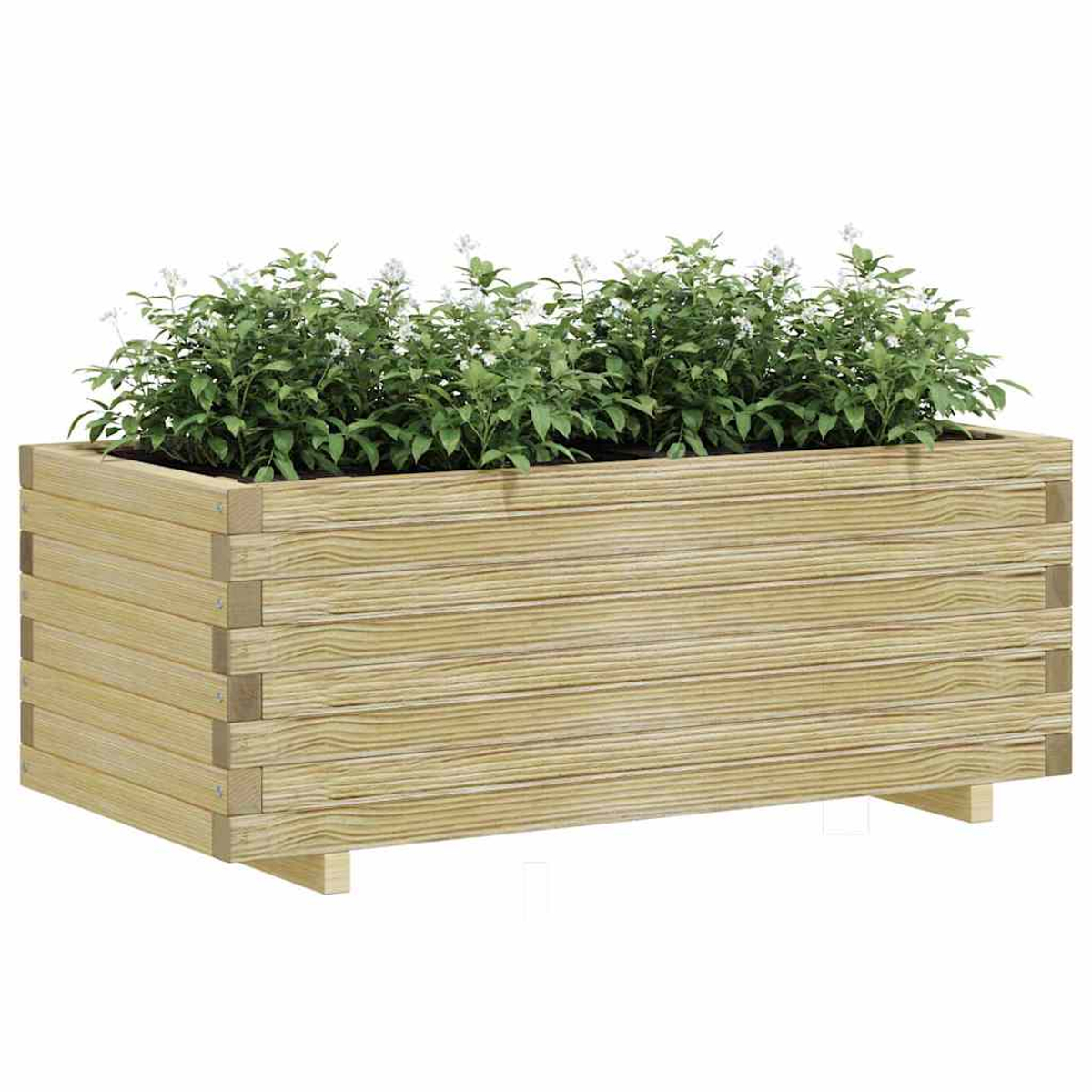 Ein rechteckiger Pflanzkasten aus Holz mit grünen Pflanzen und kleinen weißen Blüten. Die Kiste ist hellbraun, mit sichtbarer Holzmaserung.