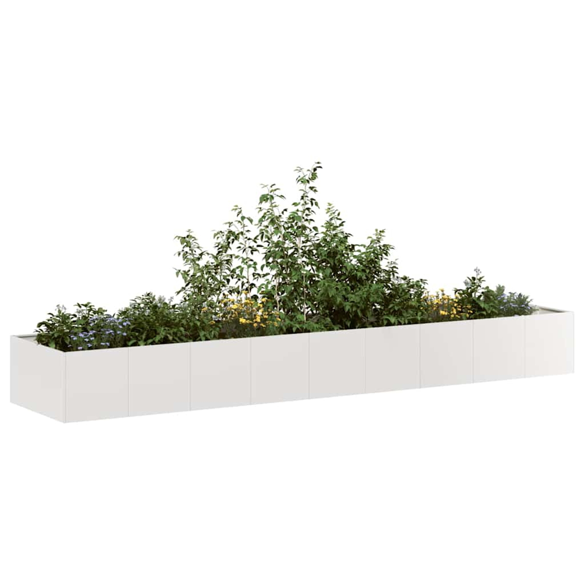 Una lunga fioriera bianca piena di piante verdi e piccoli fiori gialli e viola su sfondo bianco.