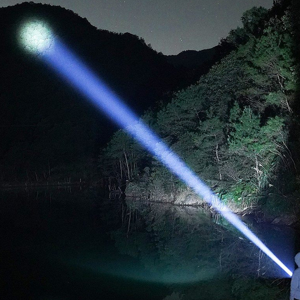 Ein heller Taschenlampenstrahl beleuchtet einen dunklen See, der das Licht reflektiert. Bäume und ein sternenübersäter Nachthimmel bilden den Hintergrund.