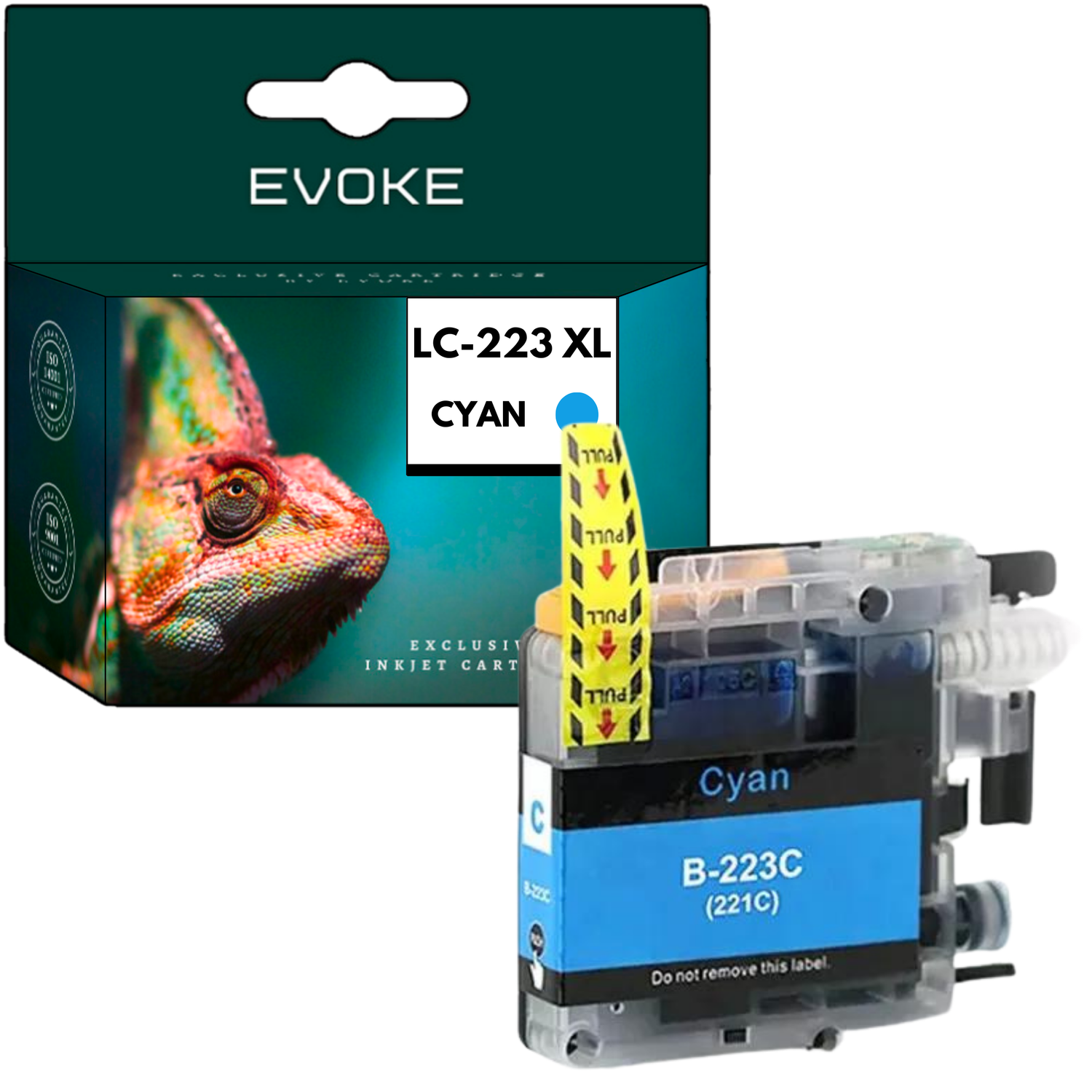 Pudełko z wkładem atramentowym ze zdjęciem kameleona i wkładem z niebieskim tuszem obok z etykietami.