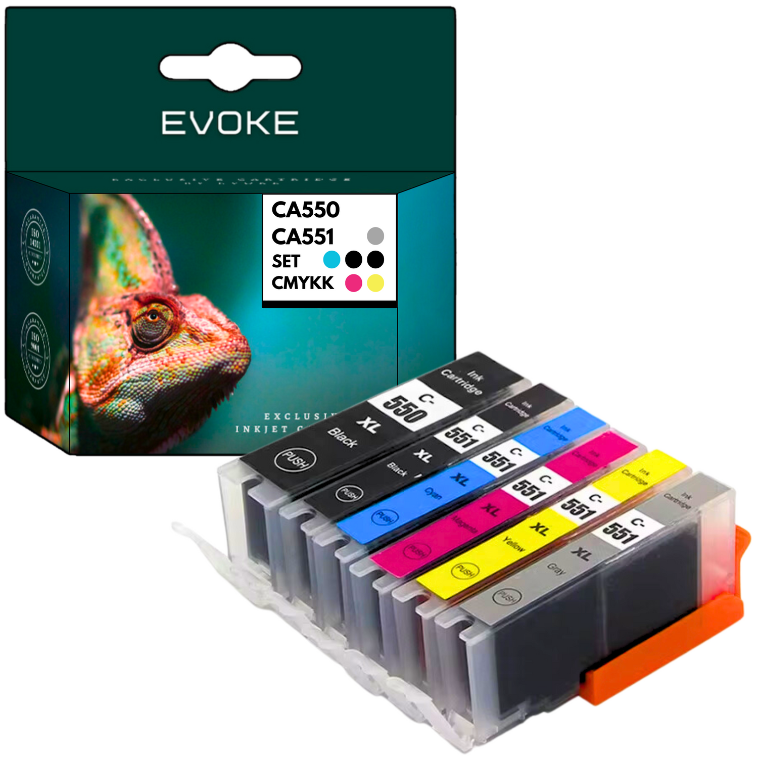 Zestaw wkładów atramentowych z pudełkiem. Pudełko ma obraz kameleona. Wkłady są czarne, cyjanowe, magenta, żółte i szare.