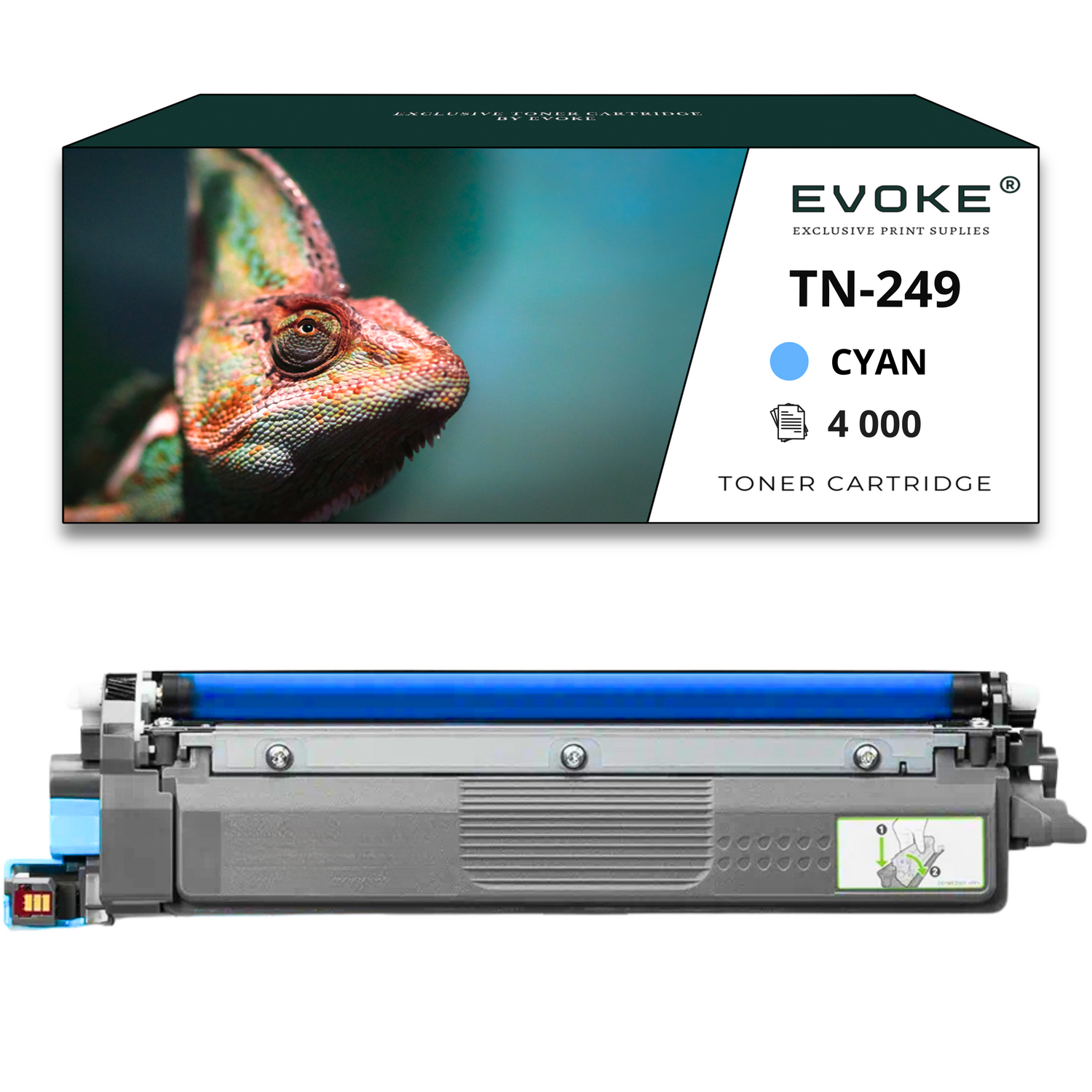 Kameleon na pudełku z "EVOKE" i "TN-249 CYAN 4000 TONER CARTRIDGE". Poniżej wkład do drukarki.