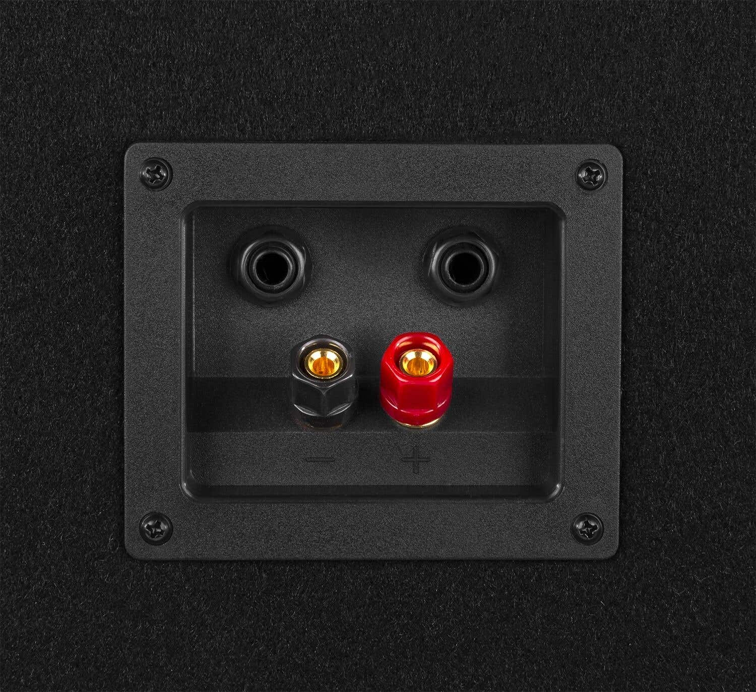 Primer plano de los terminales de los altavoces. Panel cuadrado negro con dos agujeros y dos terminales: negro y dorado, rojo y dorado. Fondo negro.