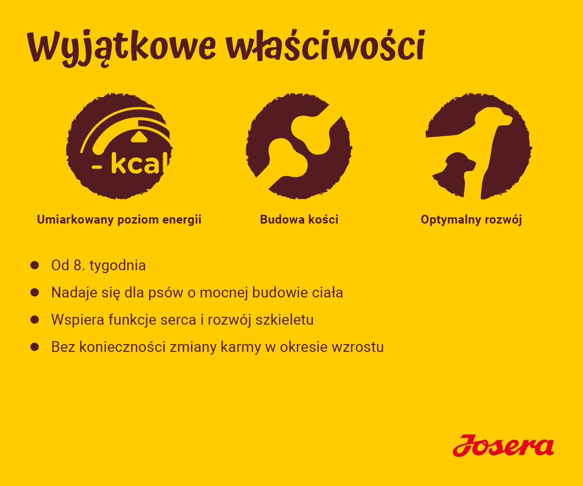 Żółte tło z brązowymi okręgami i tekstem. Zawiera symbol kcal, kości i ikony psów. Polski tekst promujący karmę dla psów.