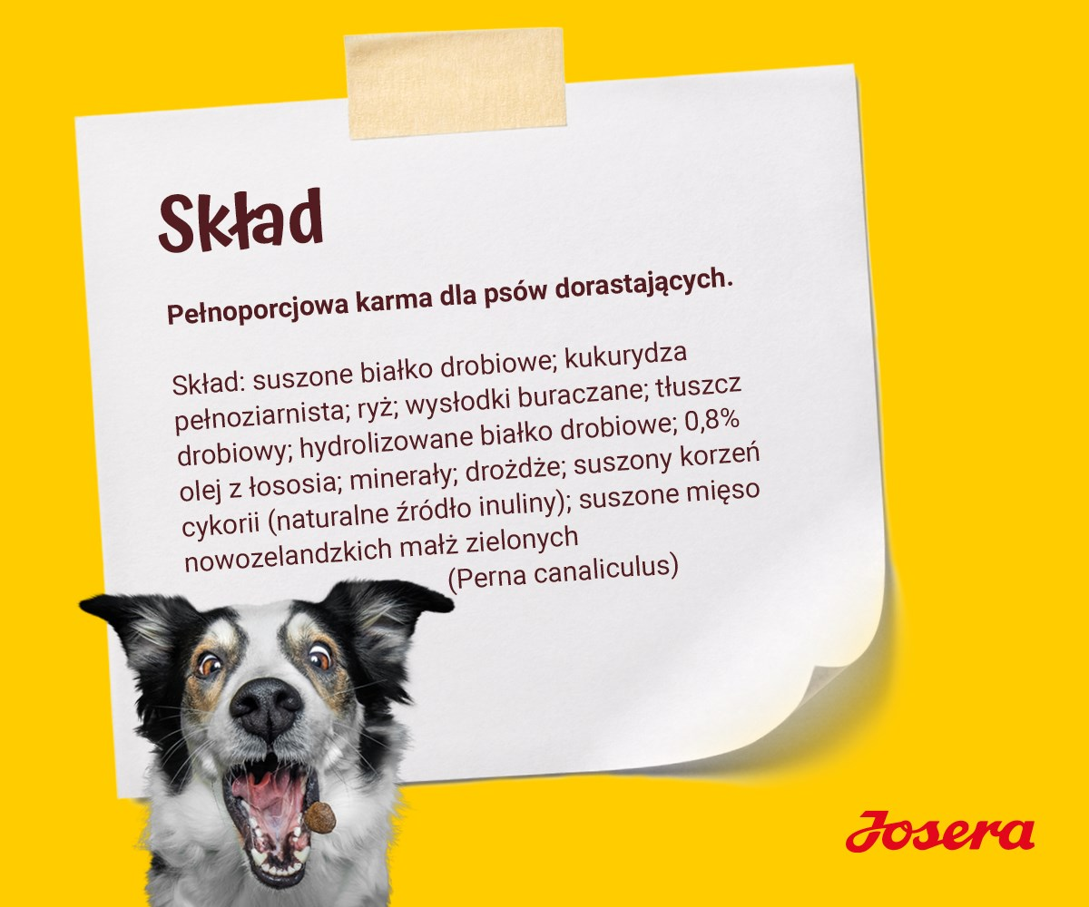 Pies z otwartą paszczą przed kartką z tekstem o składnikach karmy dla psów. Żółte tło i logo marki.