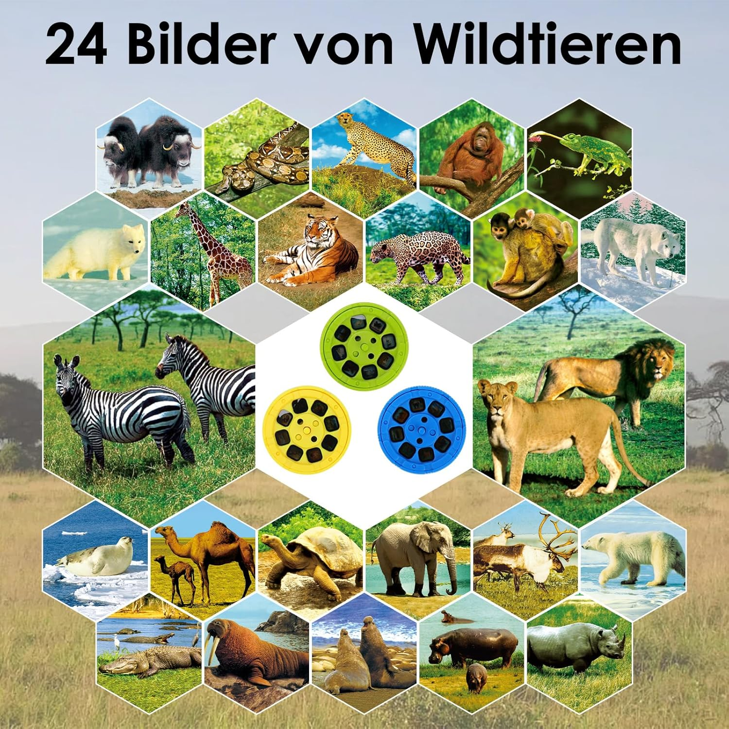 Collage von Wildtieren in sechseckigen Rahmen. Zebra, Löwe, Gepard, Elefant, Eisbär und viele andere Tiere sind sichtbar.
