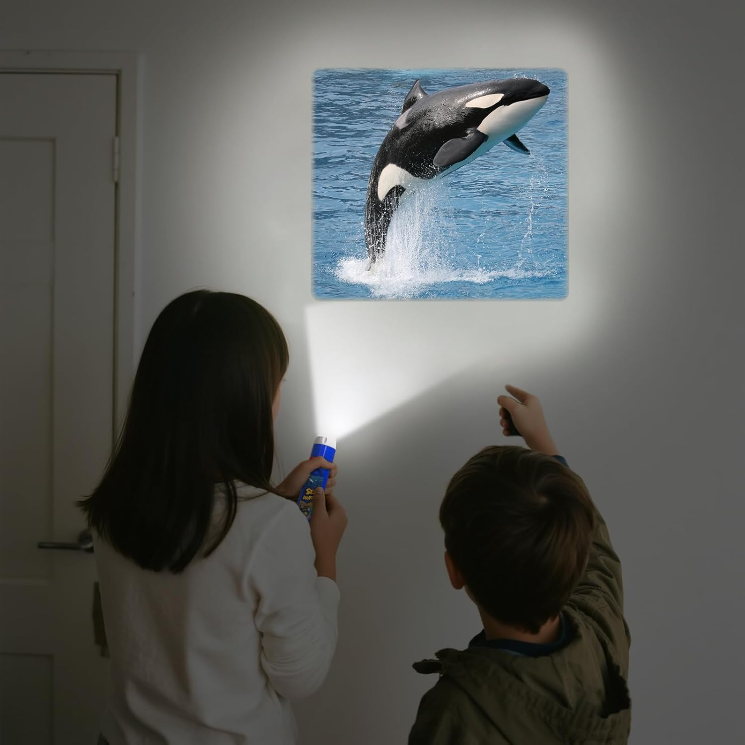 Zwei Kinder mit Taschenlampen schauen eine Wand an. Ein Bild eines springenden Orcas ist an der Wand. Der Orca ist schwarz und weiß.