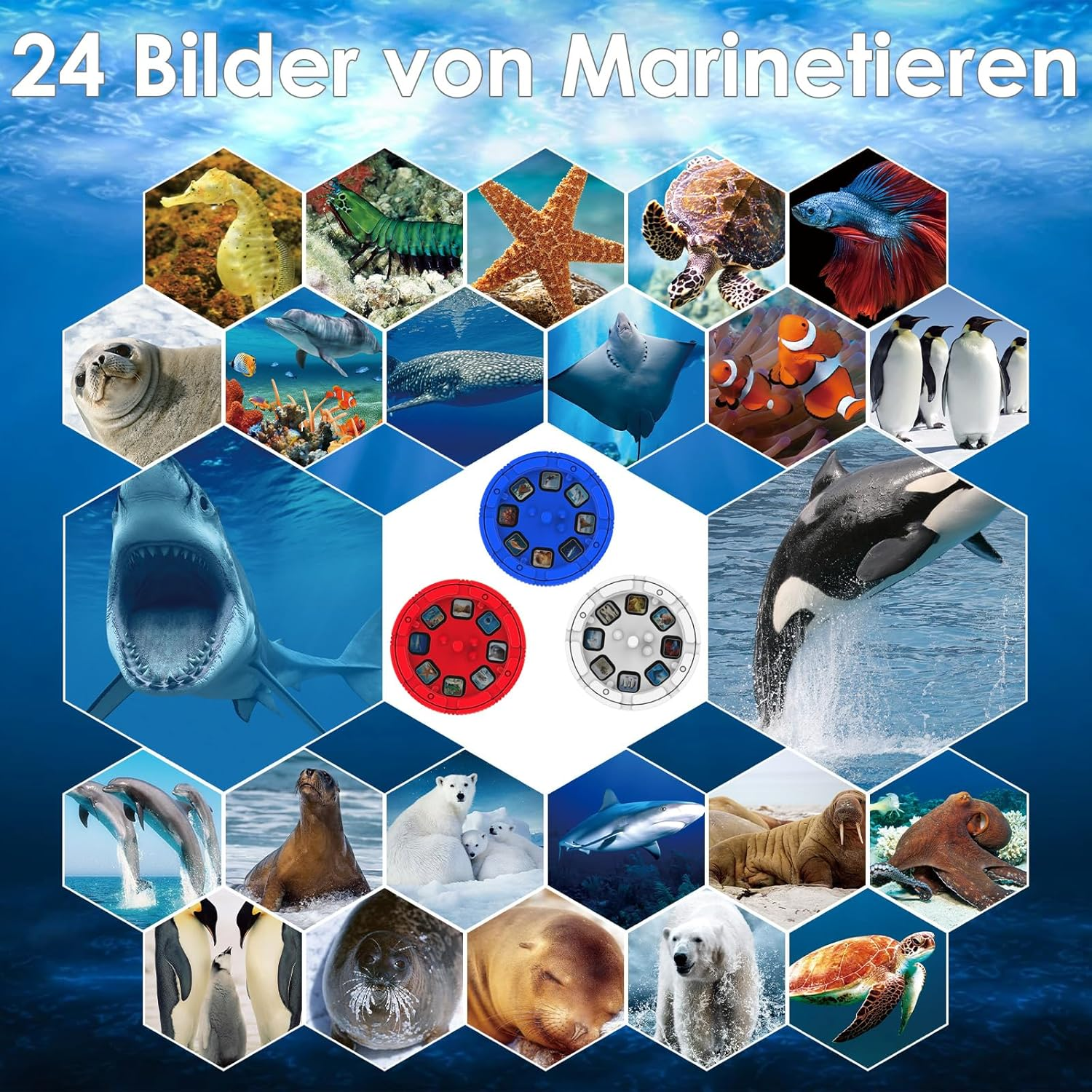 Eine Collage von Meerestieren, darunter ein Seepferdchen, Seestern, Hai, Delfine und Pinguine, in Waben angeordnet.