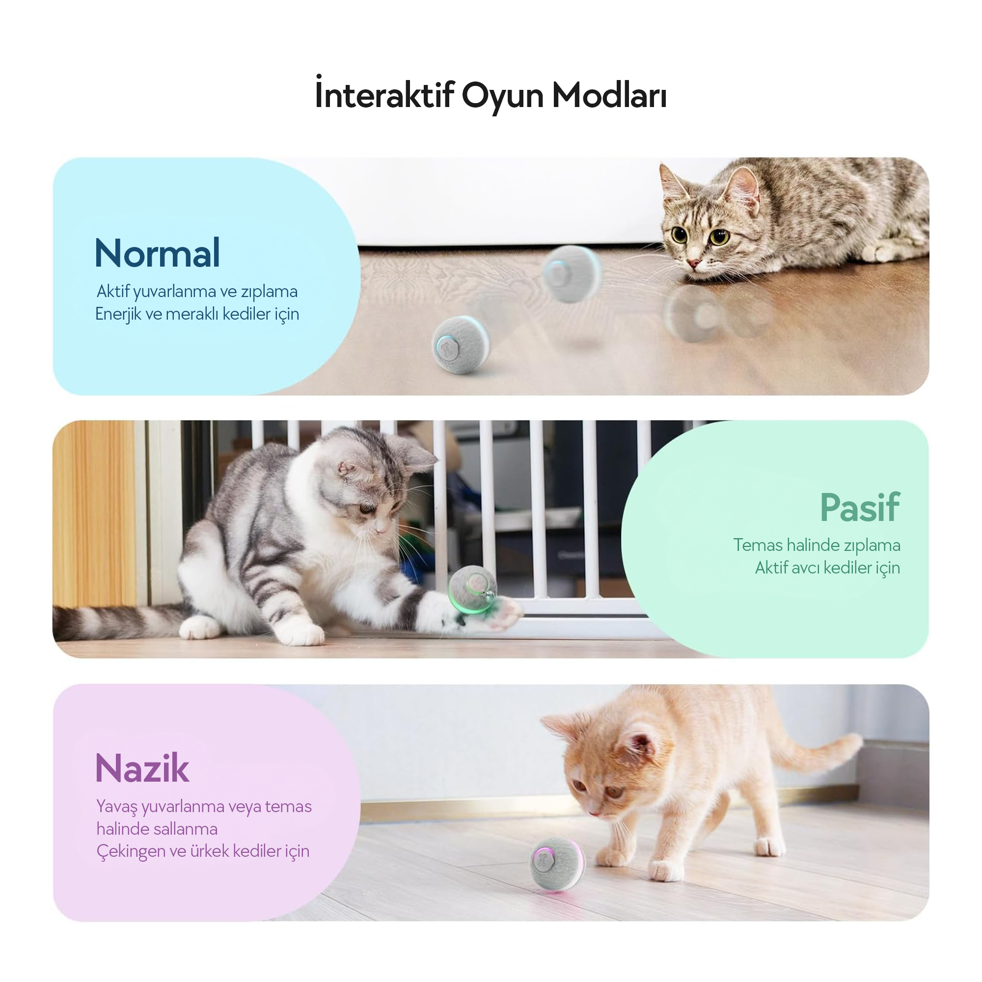 L'immagine mostra giocattoli per gatti e gatti. Vengono visualizzate diverse modalità di gioco con gatti che interagiscono con i giocattoli.