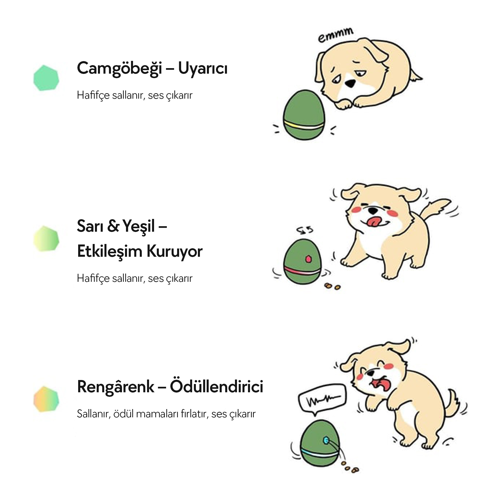 Görselde, bir köpek yumurta şeklinde bir oyuncakla etkileşime giriyor. Farklı etkileşimler köpeğin tepkilerini gösteriyor.