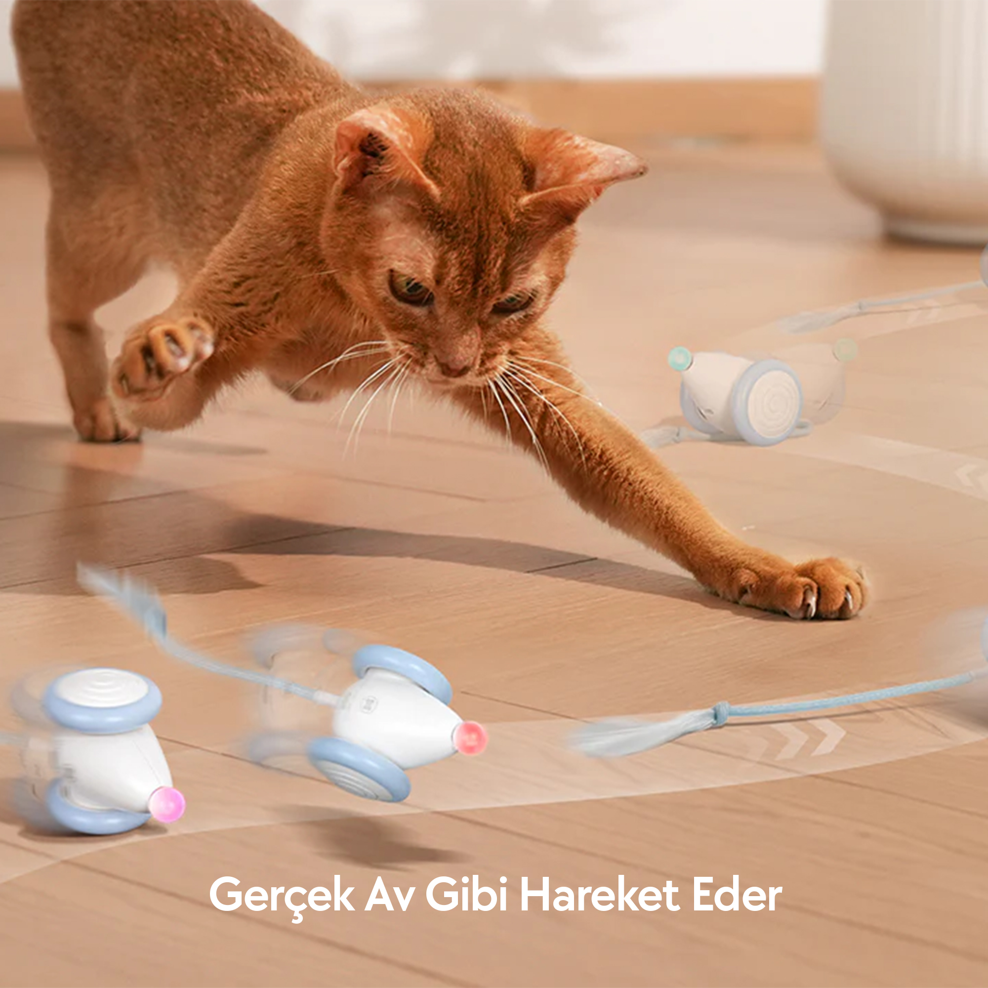 Kahverengi bir kedi oyuncak farelere doğru uzanıyor. Fareler beyaz, mavi tekerlekli ve kuyruklu, ahşap bir zeminde.