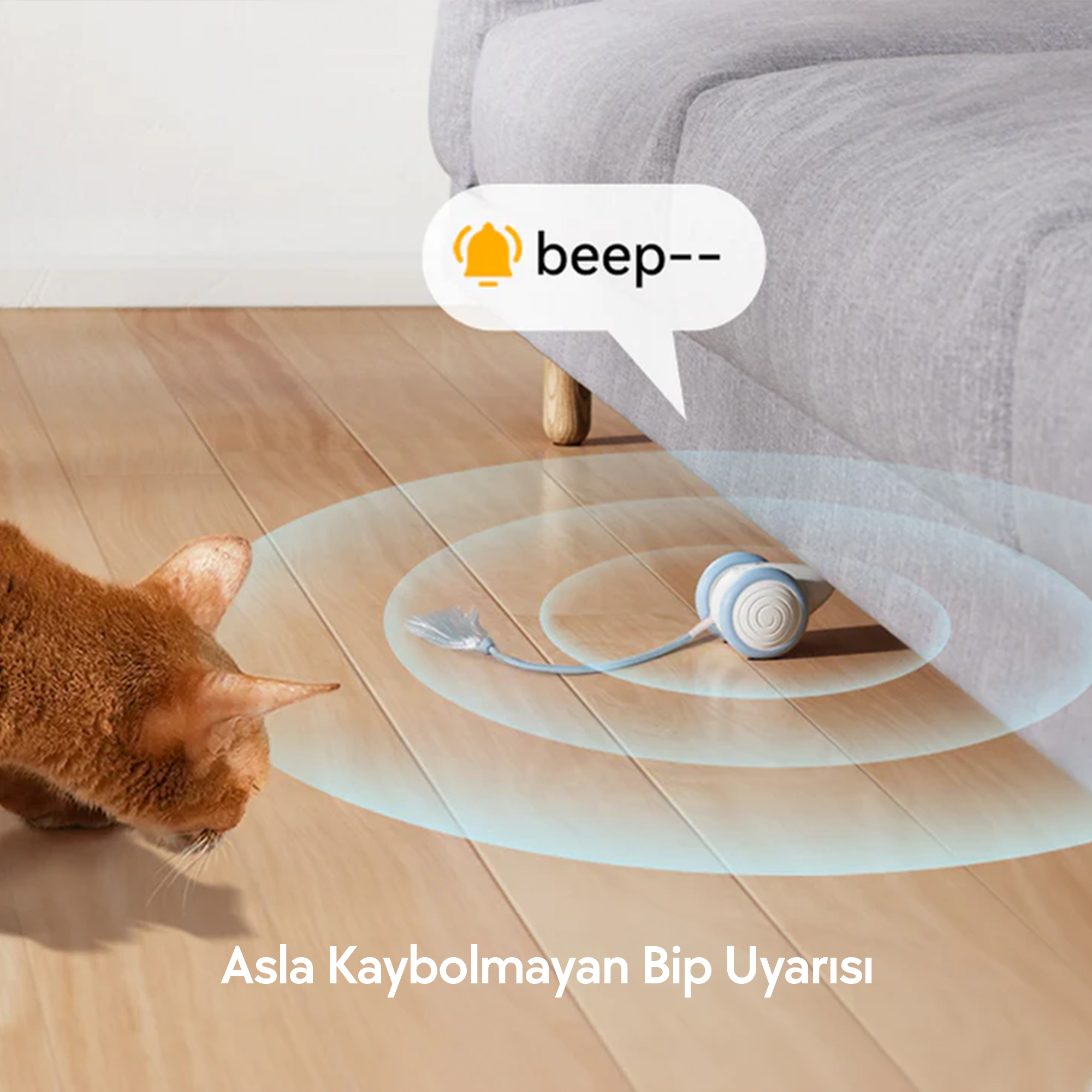 Bir kedi, ses dalgaları yayan bir evcil hayvan oyuncağına bakıyor. Metin balonu 'beep--' diyor. Ahşap zemin.