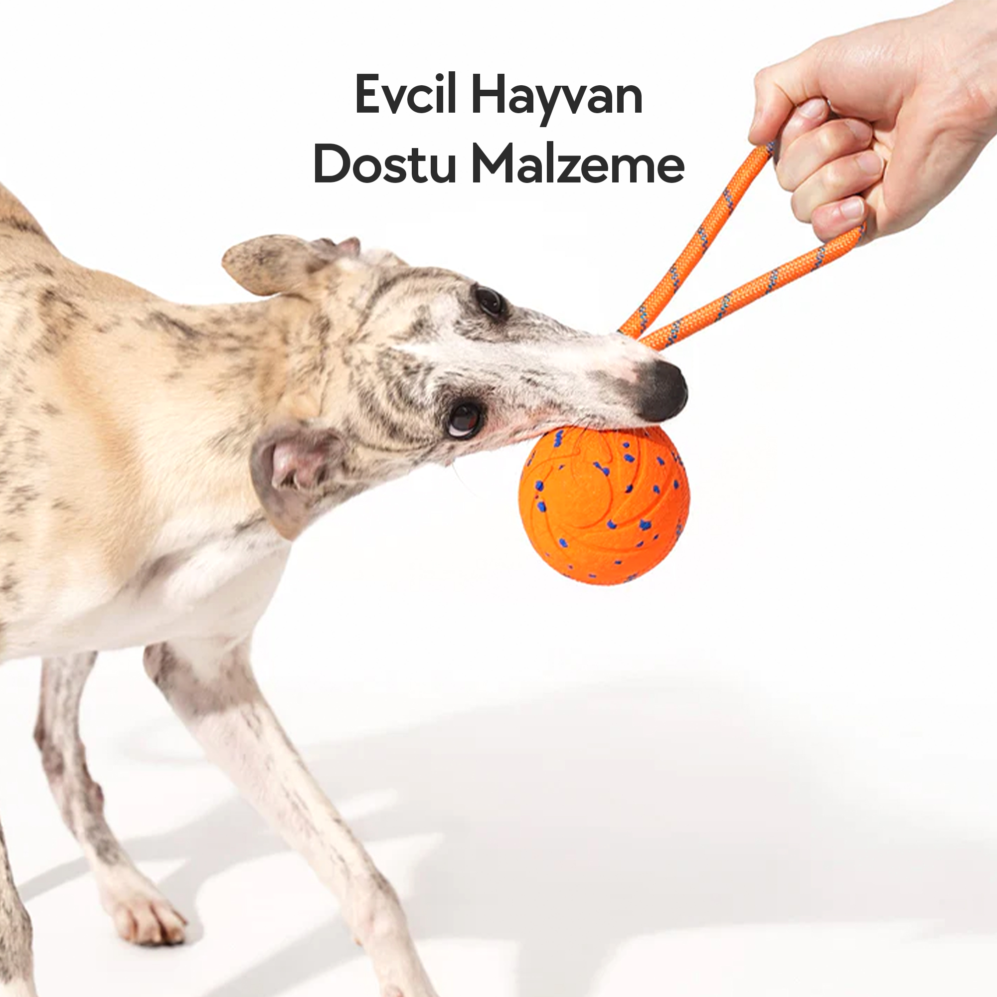 Bir köpek ve top. Bir el, topa bağlı bir ip tutuyor. Üstte Türkçe metin var.