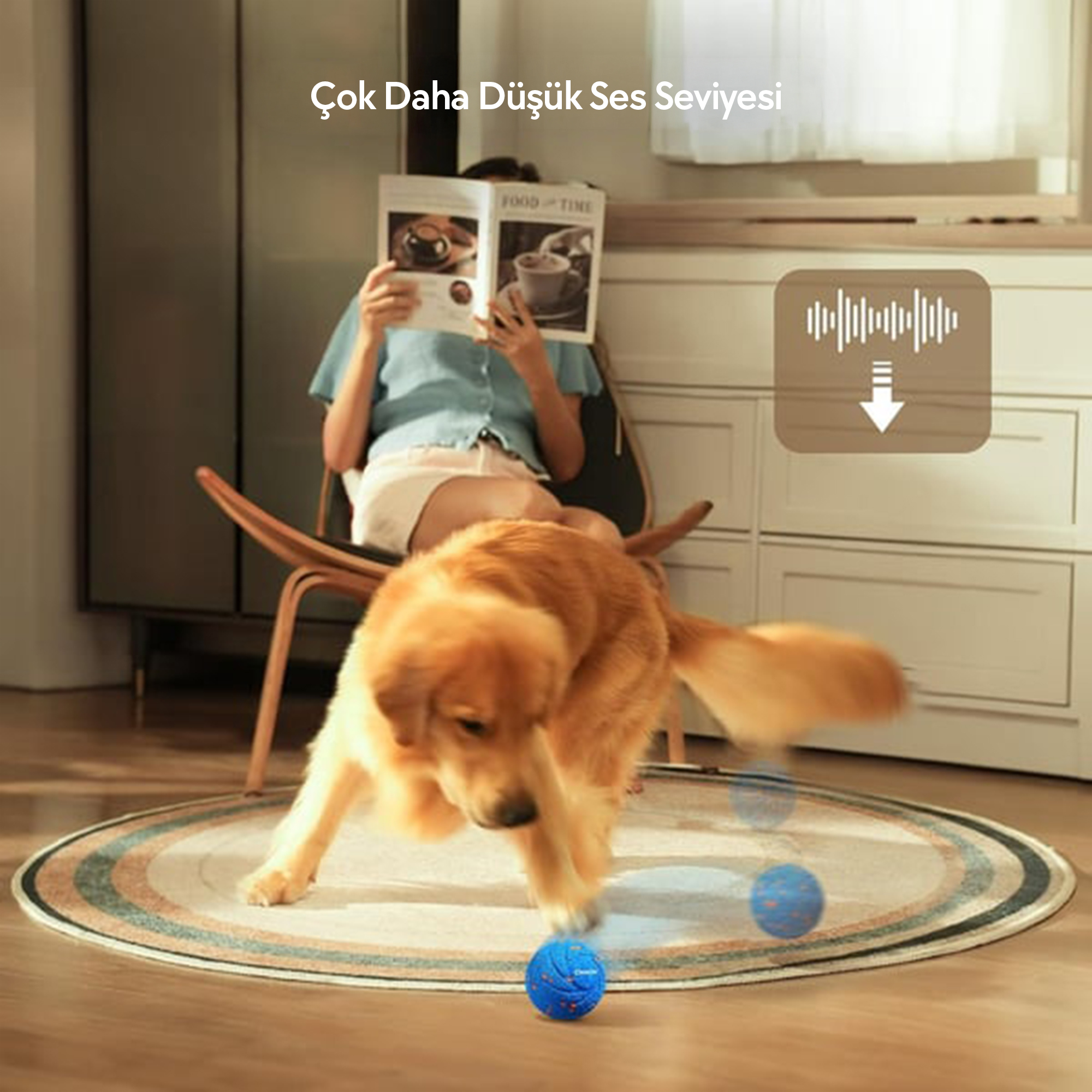 Un golden retriever gioca con una palla blu su un tappeto. Una persona legge una rivista sullo sfondo.