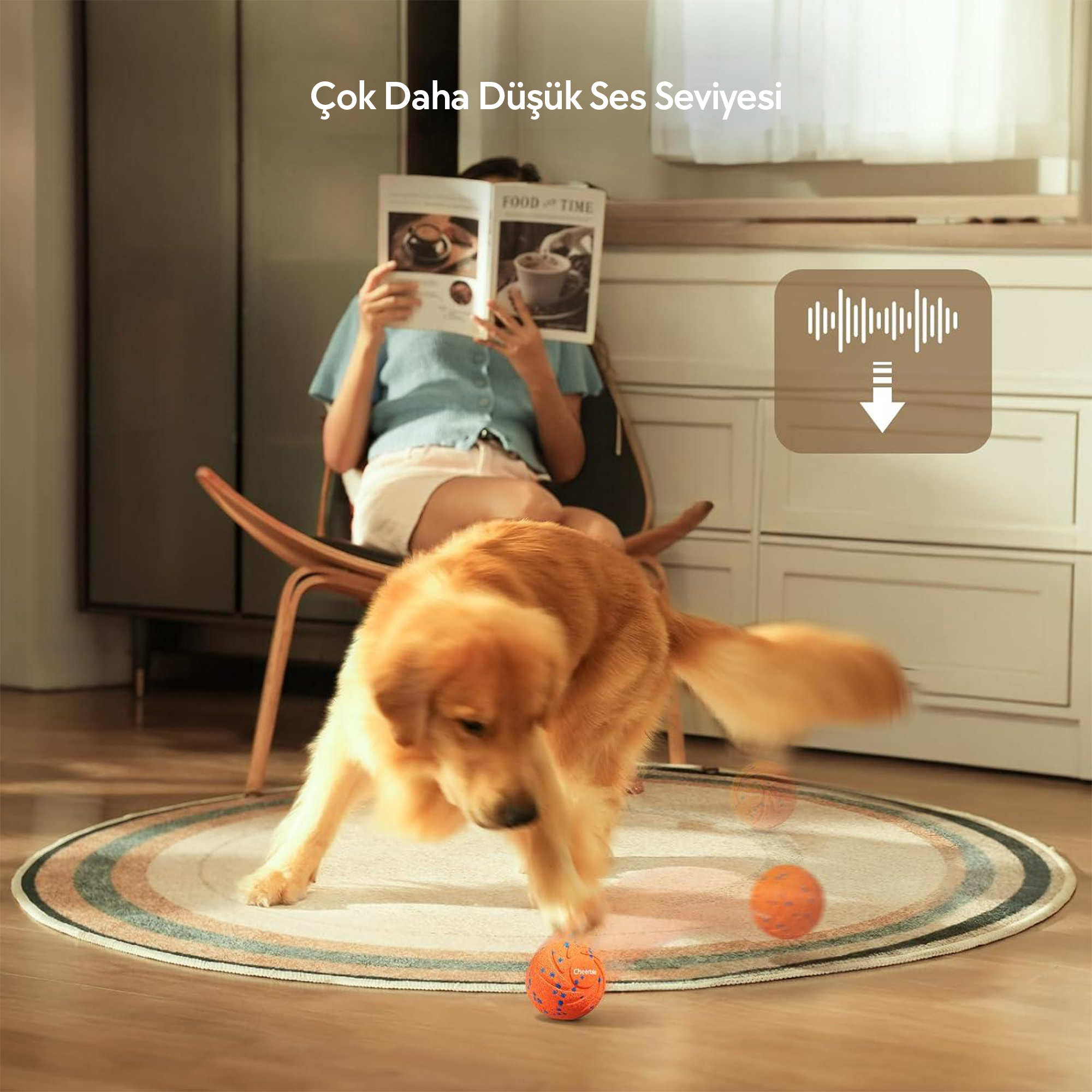 Bir kadın dergi okurken, bir golden retriever halıda topla oynuyor.