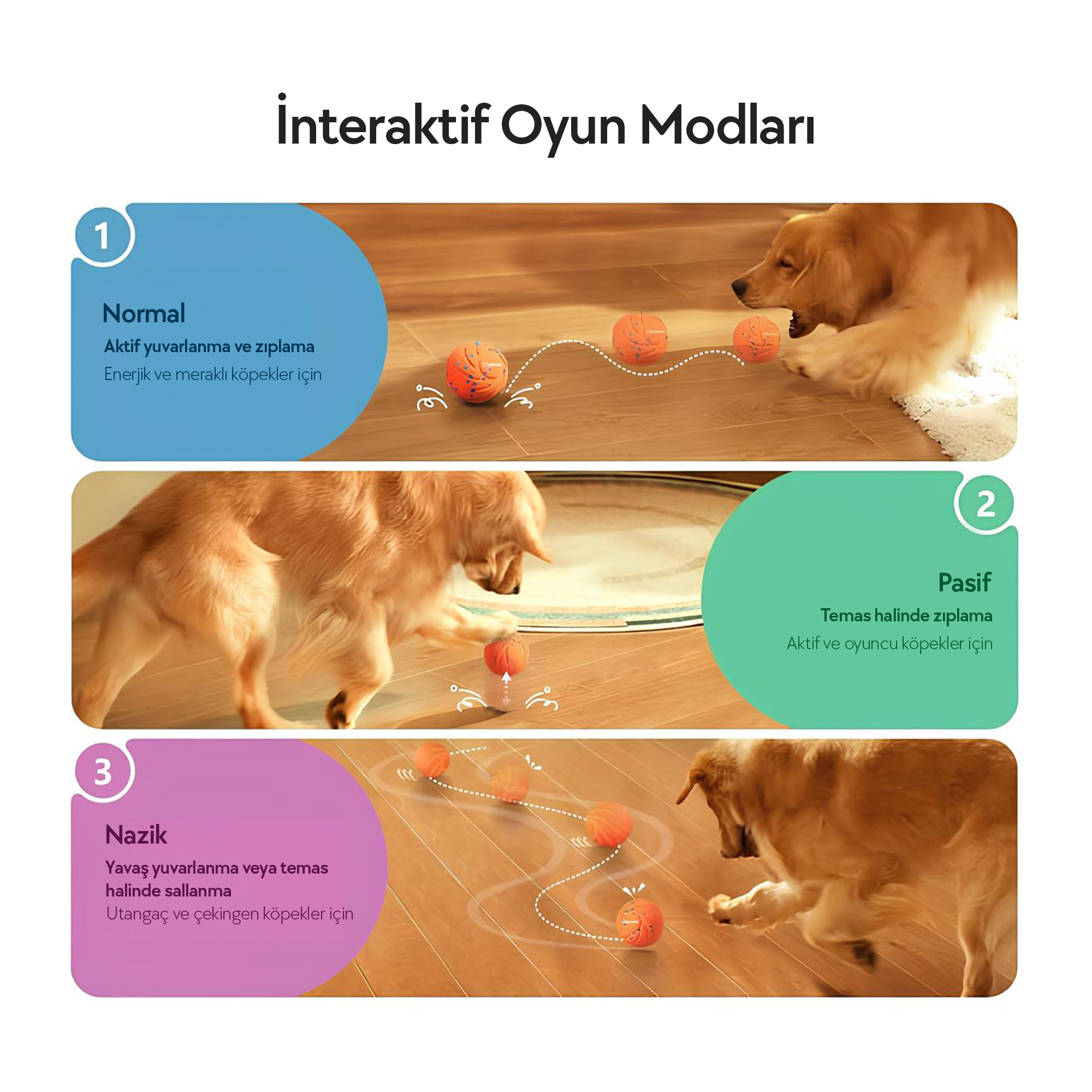 Görsel, Etkileşimli köpek oyuncak modlarını gösteriyor: Normal, Pasif ve Nazik. Köpekler ahşap zeminde turuncu toplarla etkileşim kuruyor.