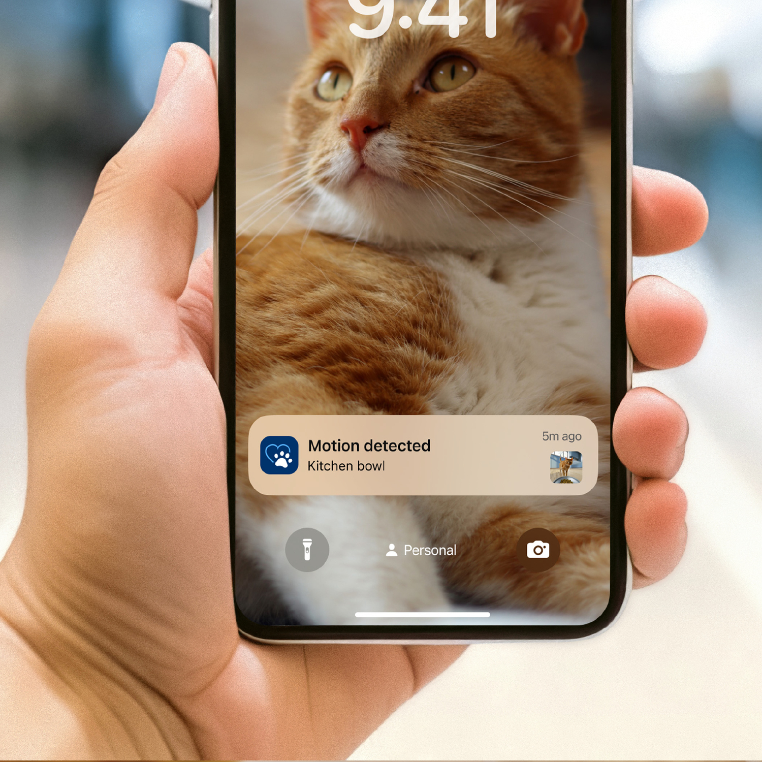 Een hand houdt een telefoon vast met een kat en een melding: beweging gedetecteerd in de voerbak. Het is 9:41.