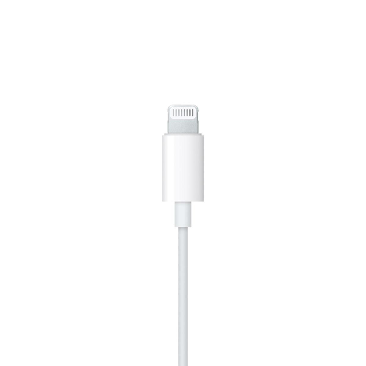 Un cavo Lightning bianco Apple. Il connettore è in alto con una parte in metallo argentato. Il cavo è su sfondo bianco.