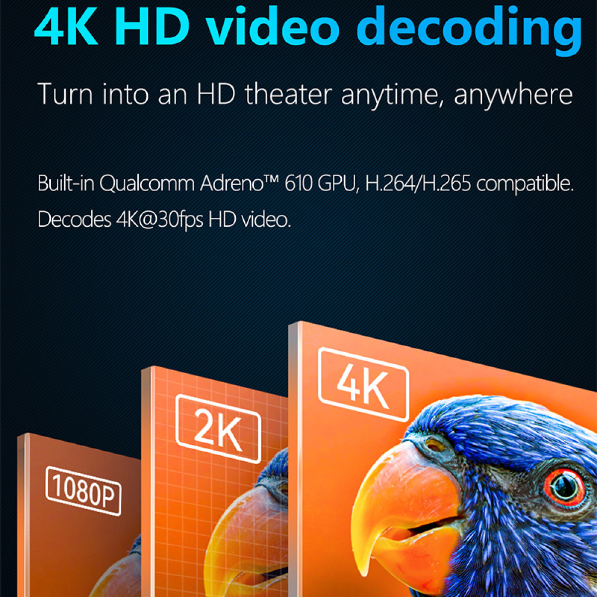 Das Bild zeigt 4K HD-Videodekodierung. Es werden 1080P-, 2K- und 4K-Bildschirme mit einem Papageienbild angezeigt.