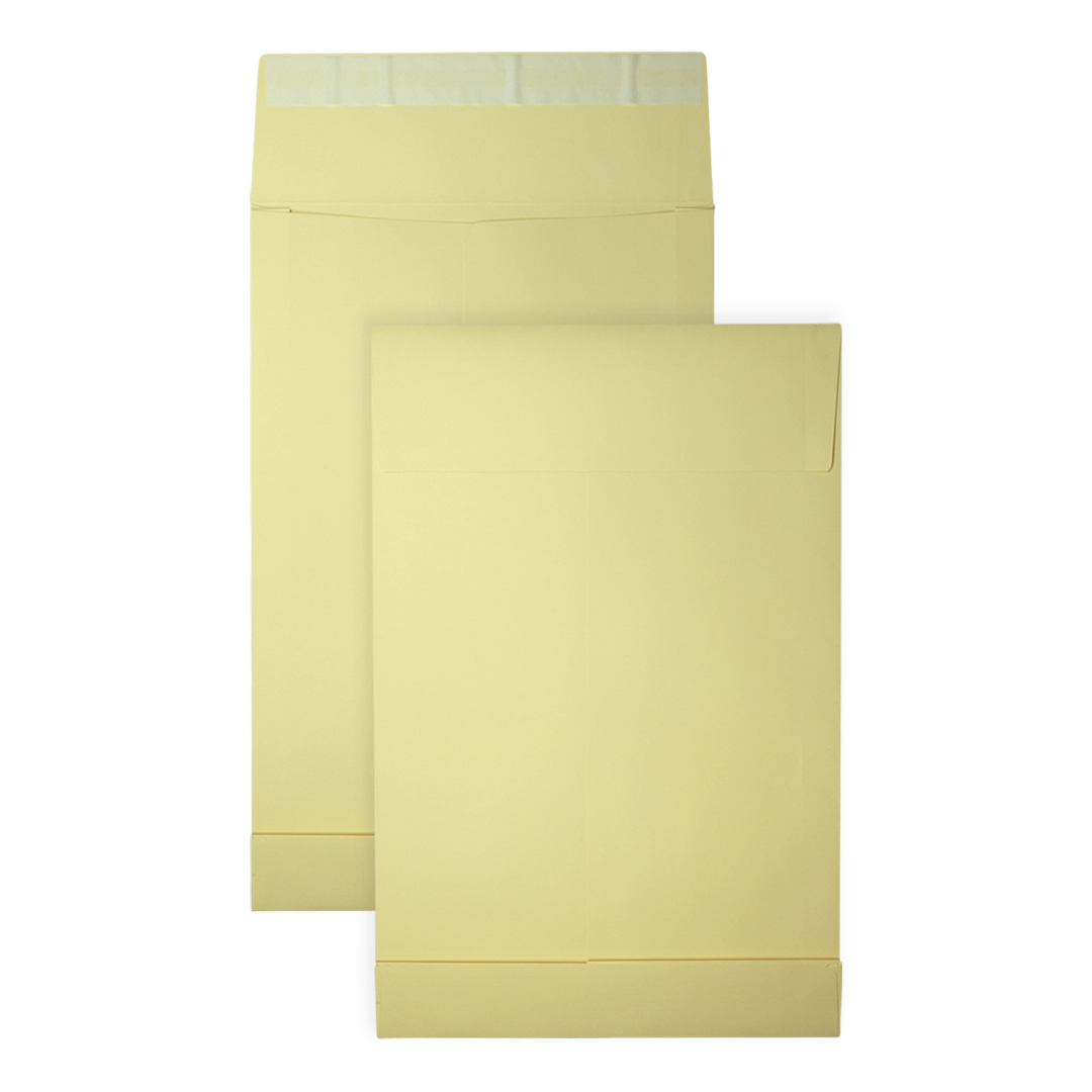 Twee gele enveloppen op een witte achtergrond. Eén is groter dan de andere. Beide hebben een flap en zijn verzegeld met tape.