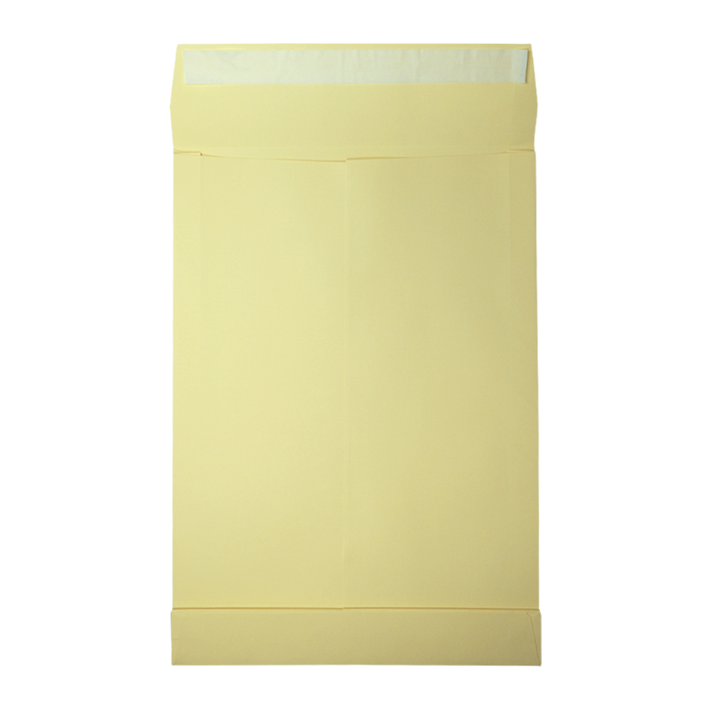 Een crèmekleurige envelop, bovenaan open, op een witte achtergrond. Rechthoekig met flap en zichtbare kleefstrip.