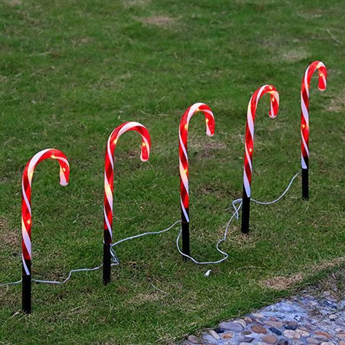 Fünf Zuckerstangenlichter in einer Reihe auf Gras. Rot-weiß gestreifte Stäbe mit kleinen Lichtern. Schwarze Pfähle halten sie hoch.