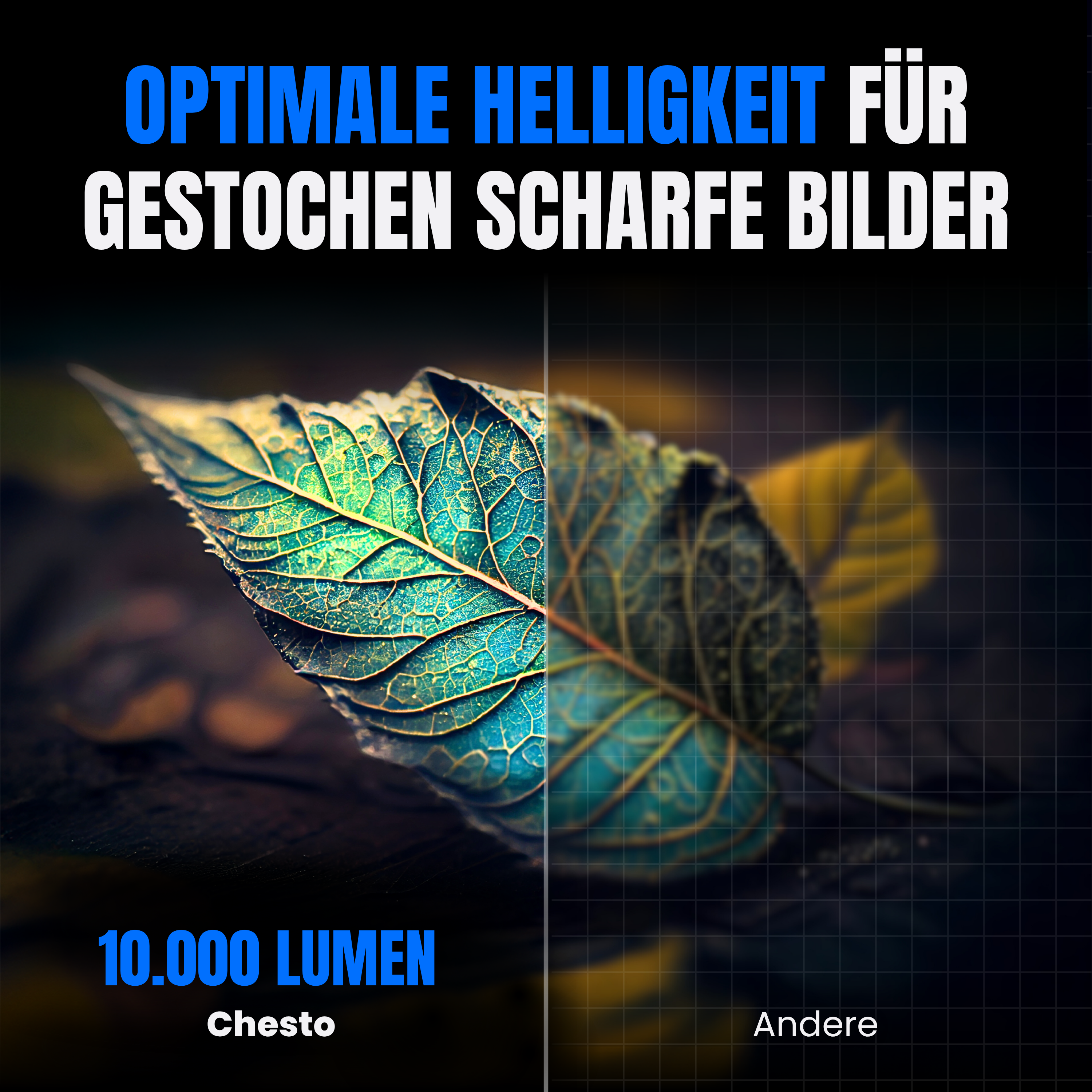 Ein Blatt, halb fokussiert, mit deutschem Text über optimale Helligkeit für scharfe Bilder. 10.000 Lumen und "Chesto".
