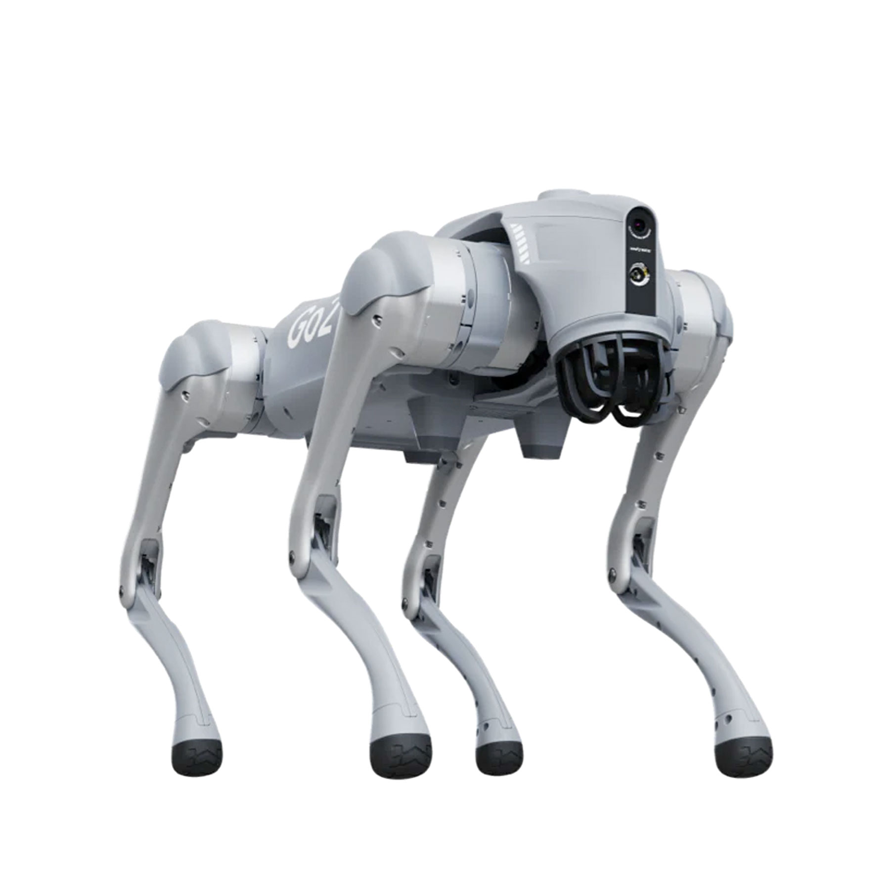 Un perro robot de cuatro patas, gris claro, con la palabra 'GO2' a un lado. Tiene sensores y cámaras en la cabeza.