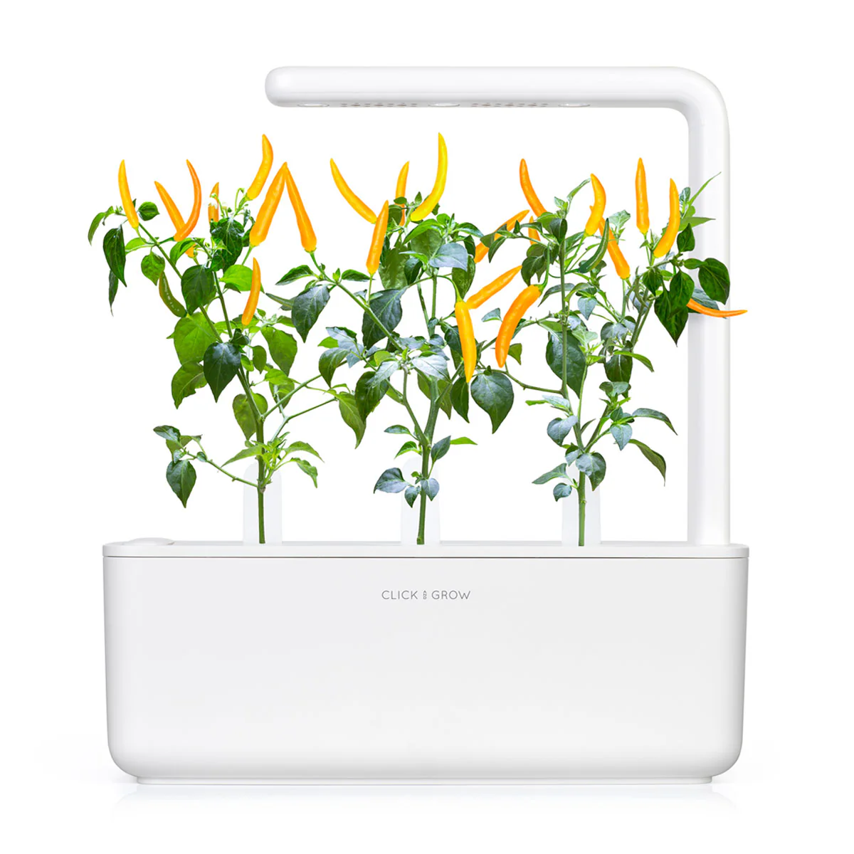 Un jardin d'intérieur blanc avec des plants de piment. Des piments jaunes et des feuilles vertes sortent d'une base blanche. Le cadre est également blanc.