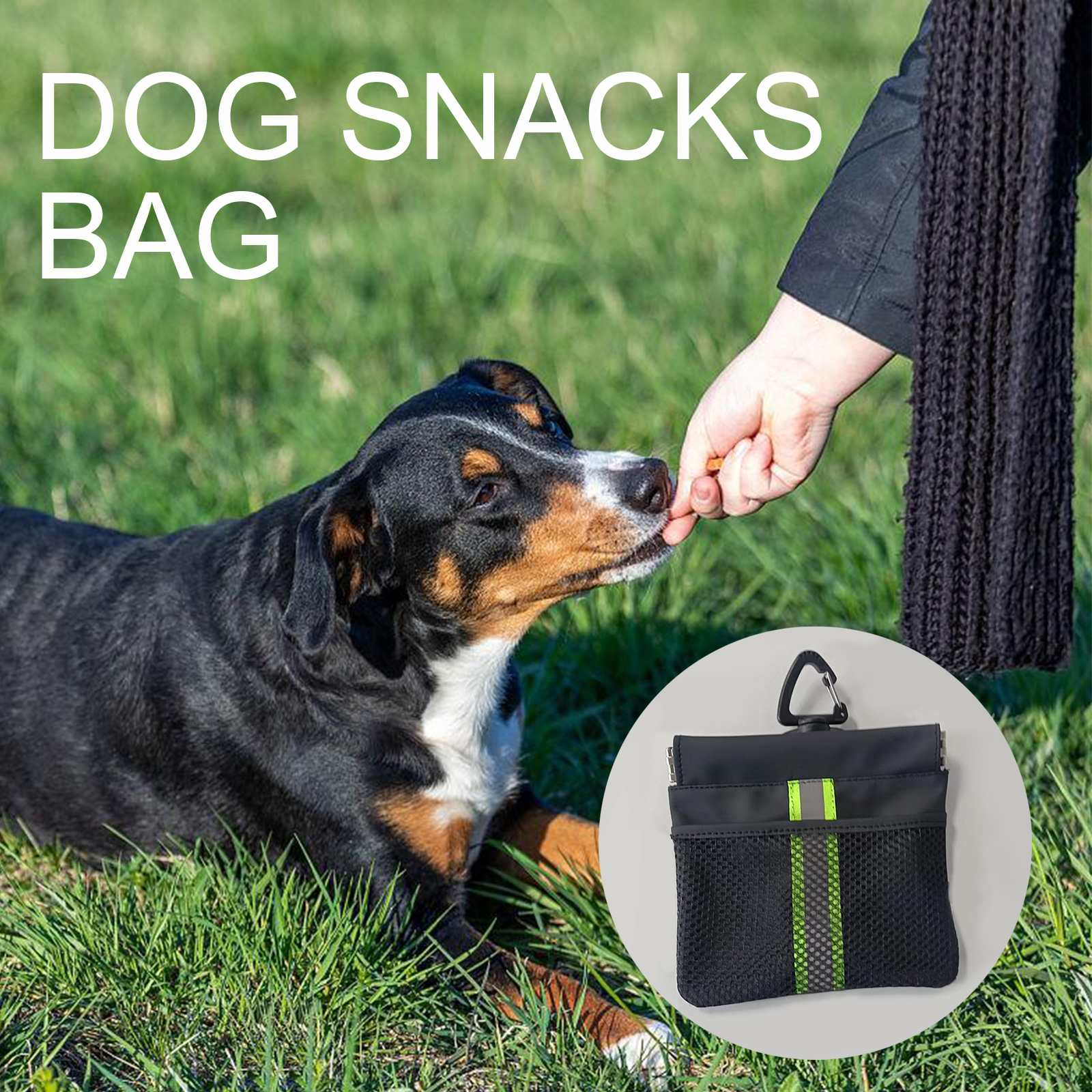 Hund isst Snack aus der Hand. Schwarzer Hund auf Gras. Hundesnack-Tasche rechts.