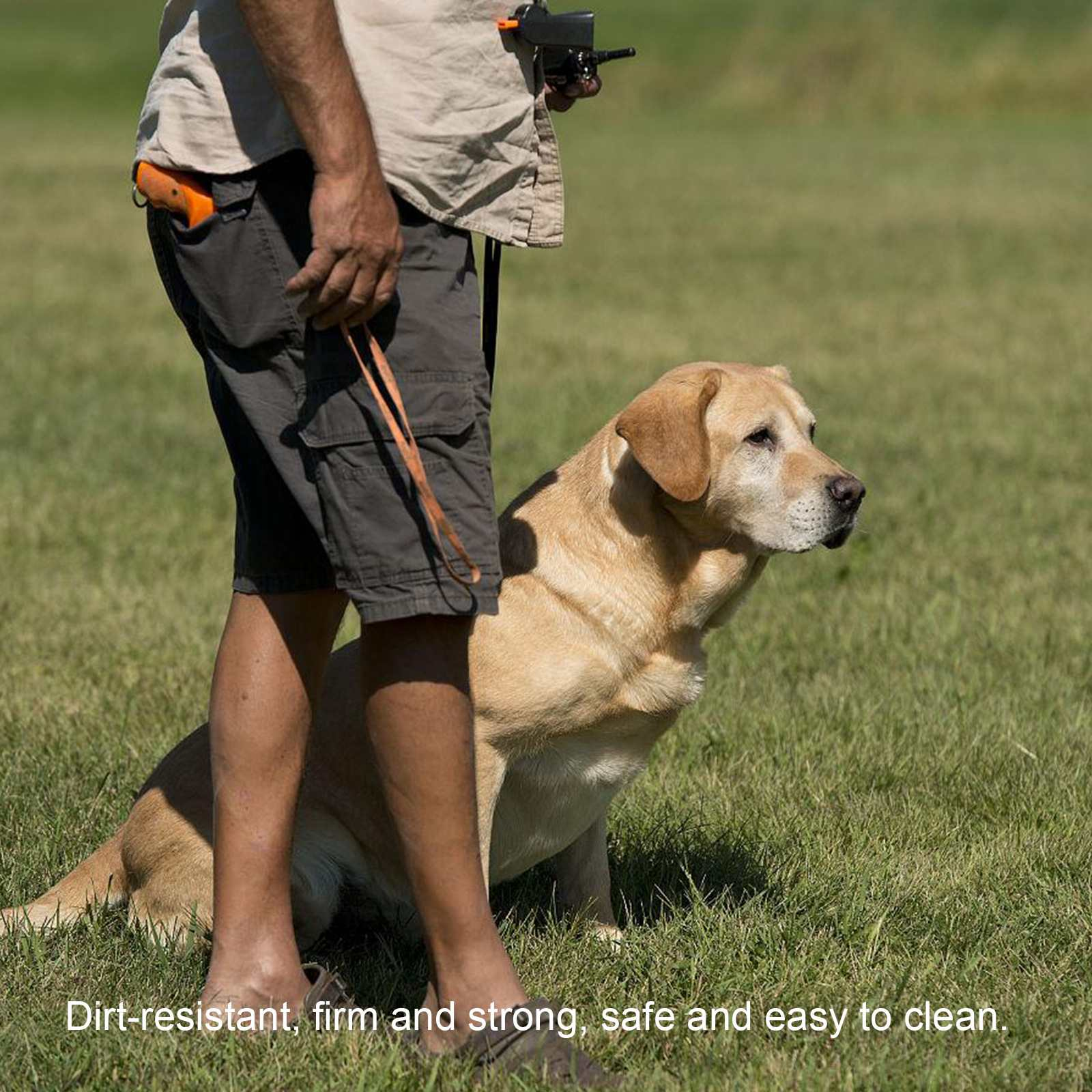 Ein Mann steht mit einem Labrador auf Gras. Der Mann hält eine Leine. Der Hund schaut weg.